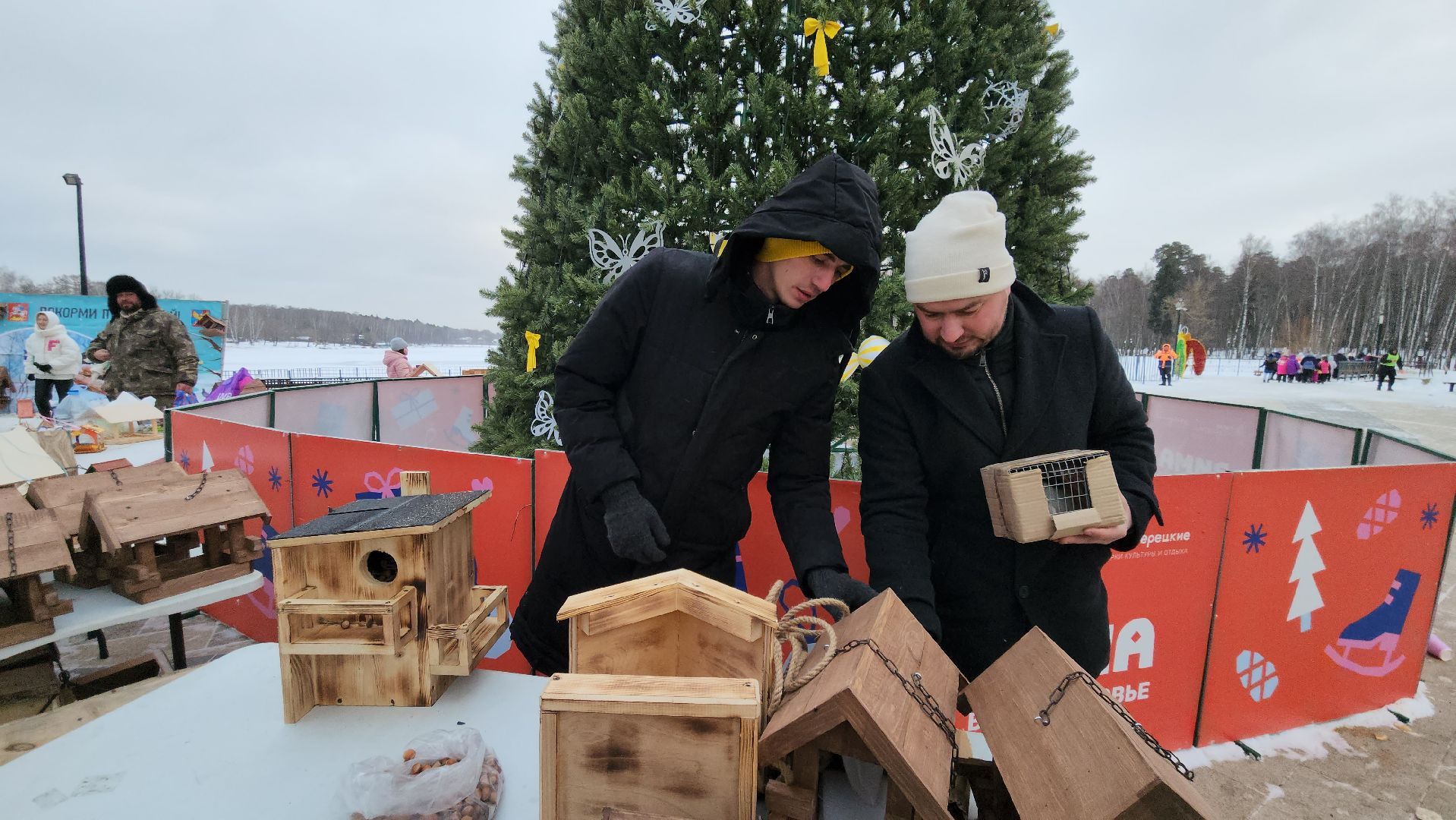 проект беличья тропа, люберцы, малаховское озеро, парки, белки,