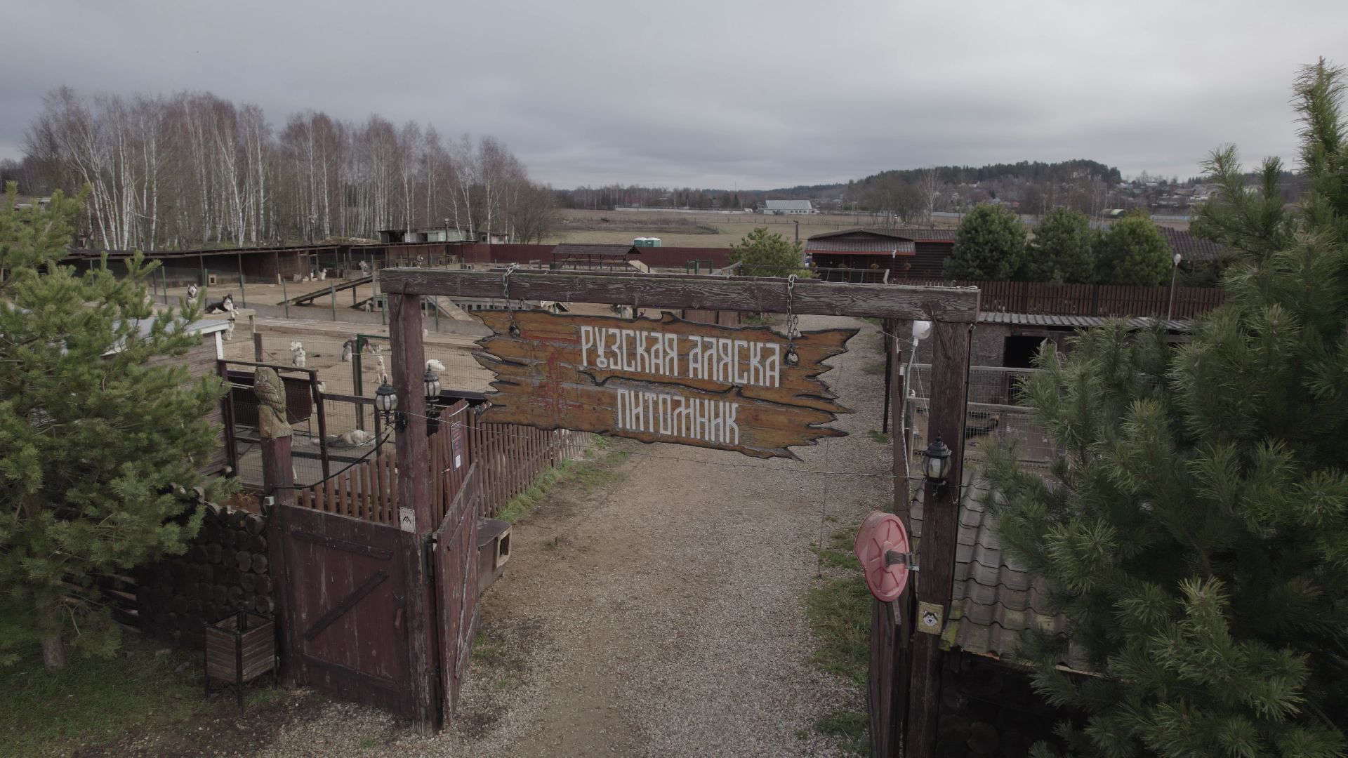 видео с коптера, руза, питомник,