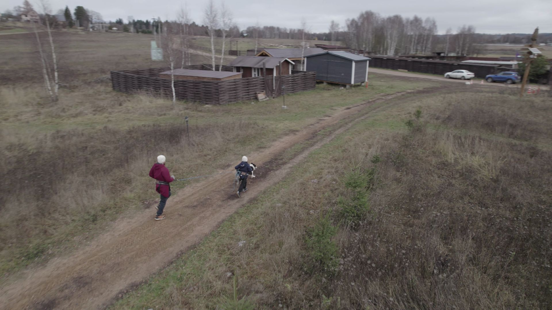 видео с коптера, руза, питомник,