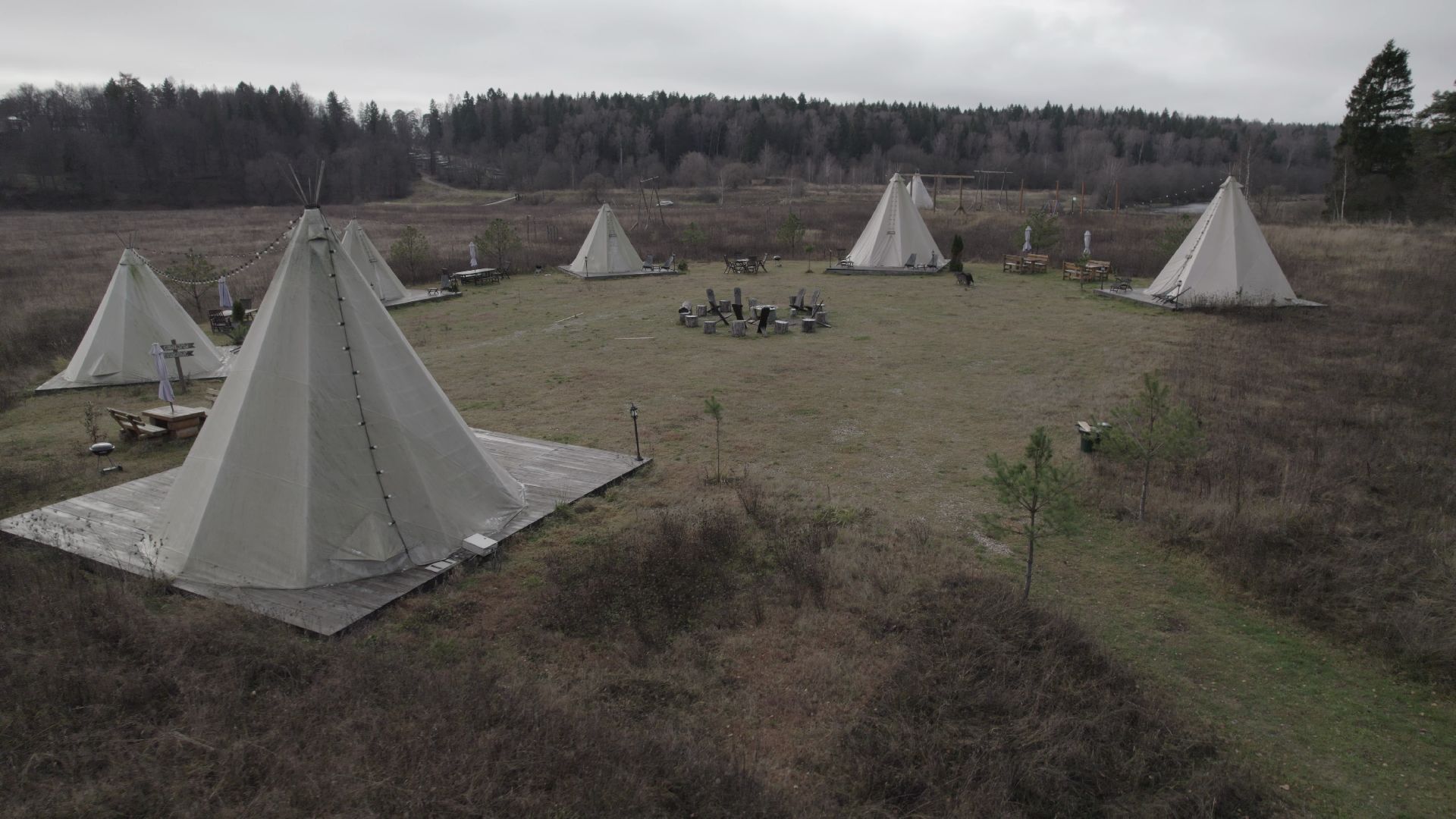 видео с коптера, руза, питомник,