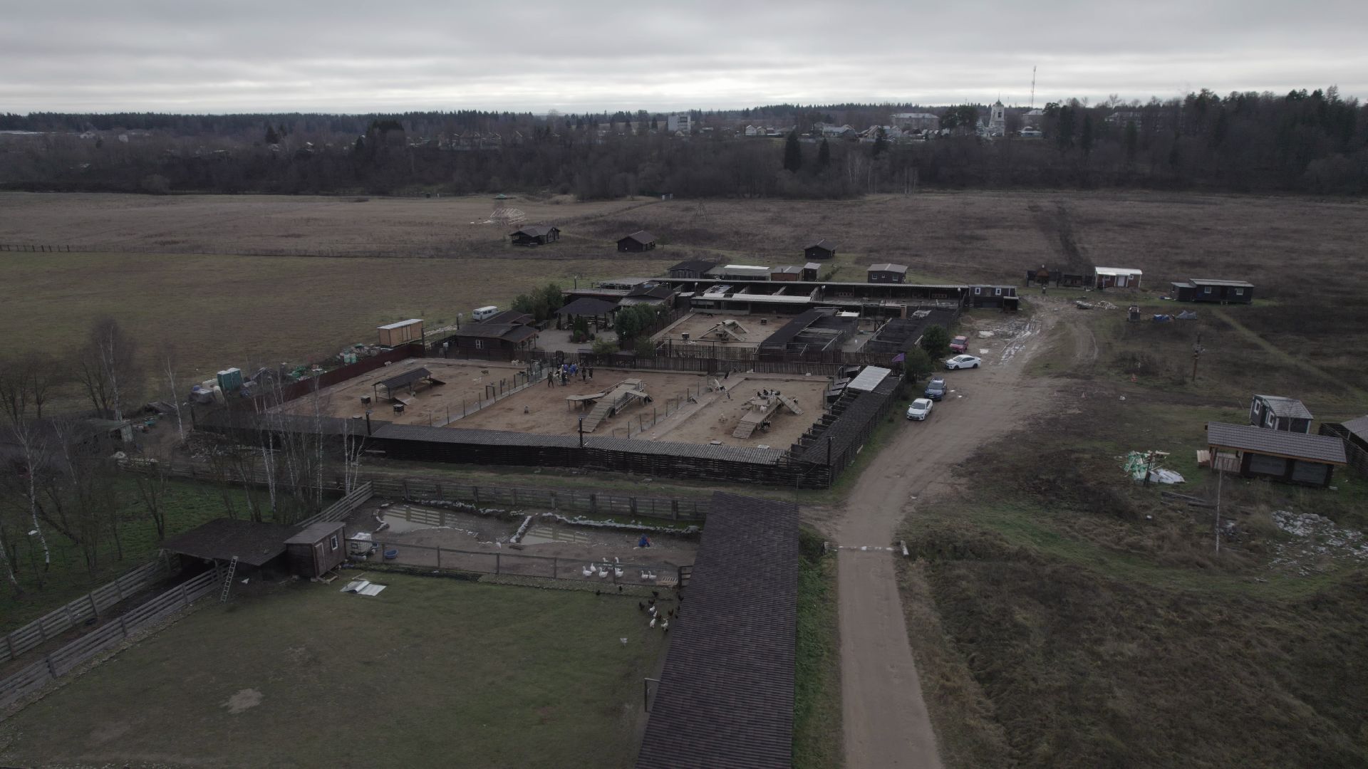 видео с коптера, руза, питомник,