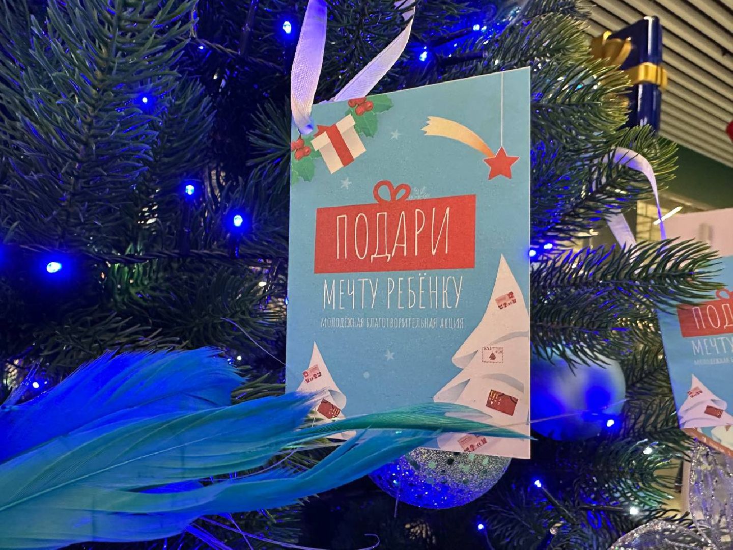 новый год, благотворительная акция, волонтеры,