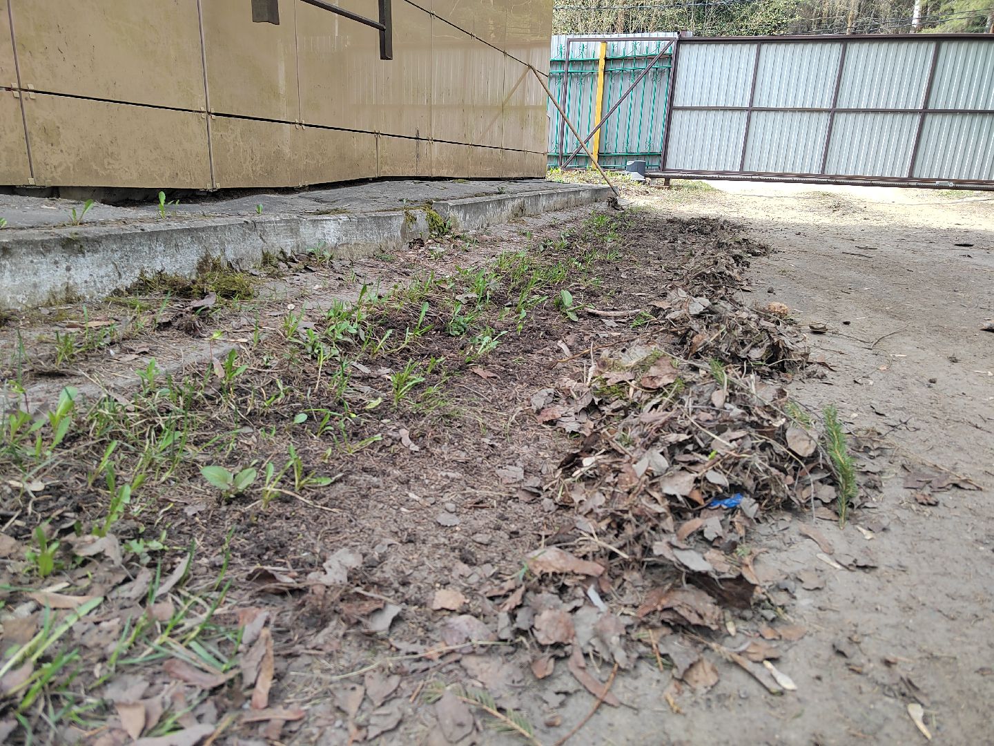 Пушкино, Правдинский, Пушкинский округ, дети, помощь, волонтеры, благоустройство