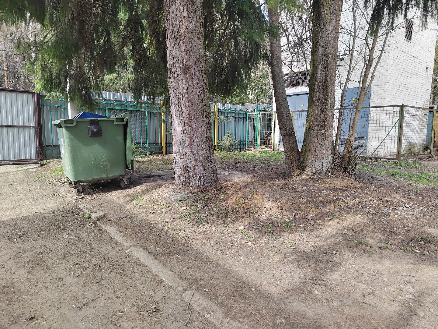 Пушкино, Правдинский, Пушкинский округ, дети, помощь, волонтеры, благоустройство