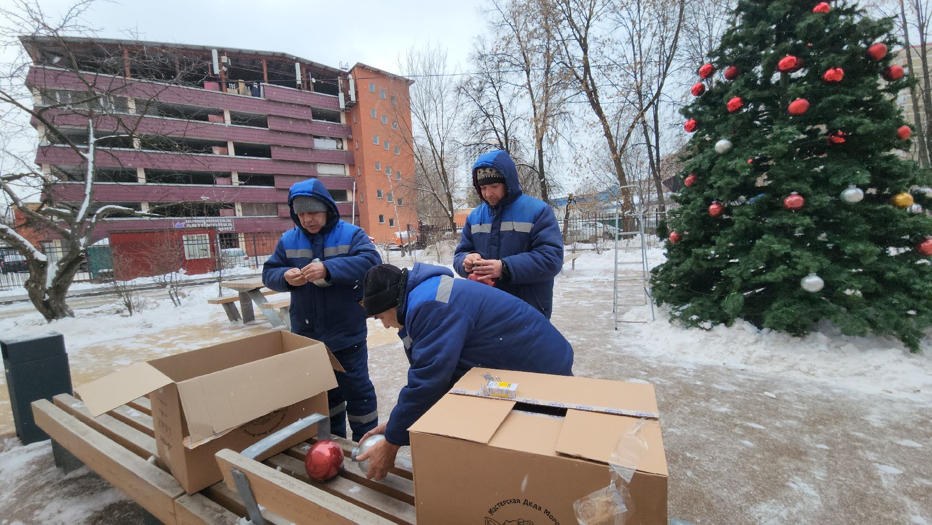 люберцы, установка елок, управляющая компания, жители,
