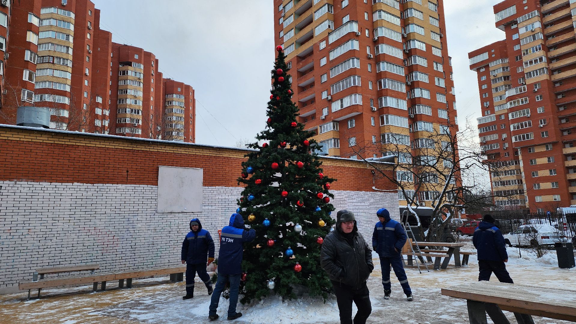 люберцы, установка елок, управляющая компания, жители,