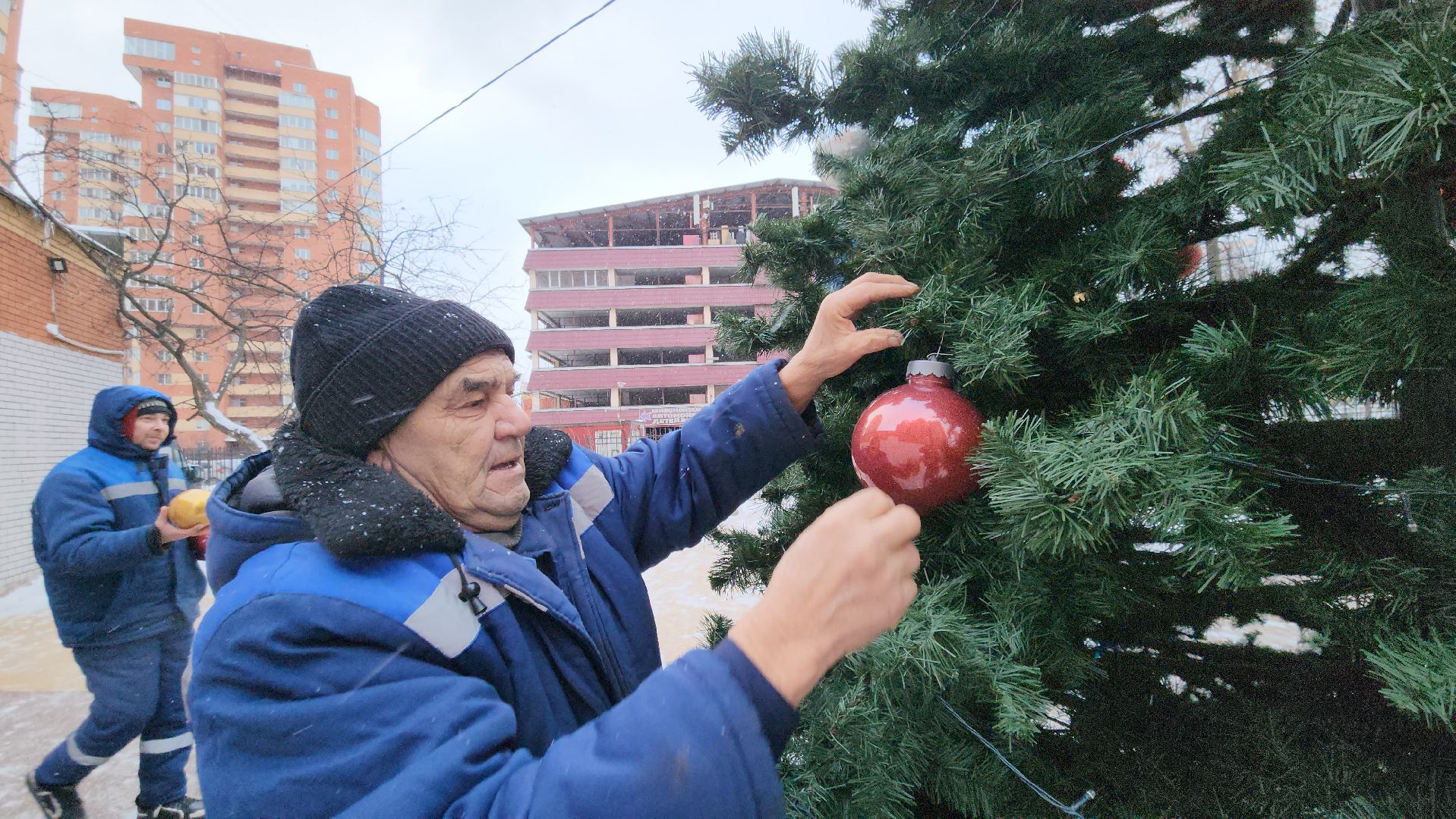люберцы, установка елок, управляющая компания, жители,