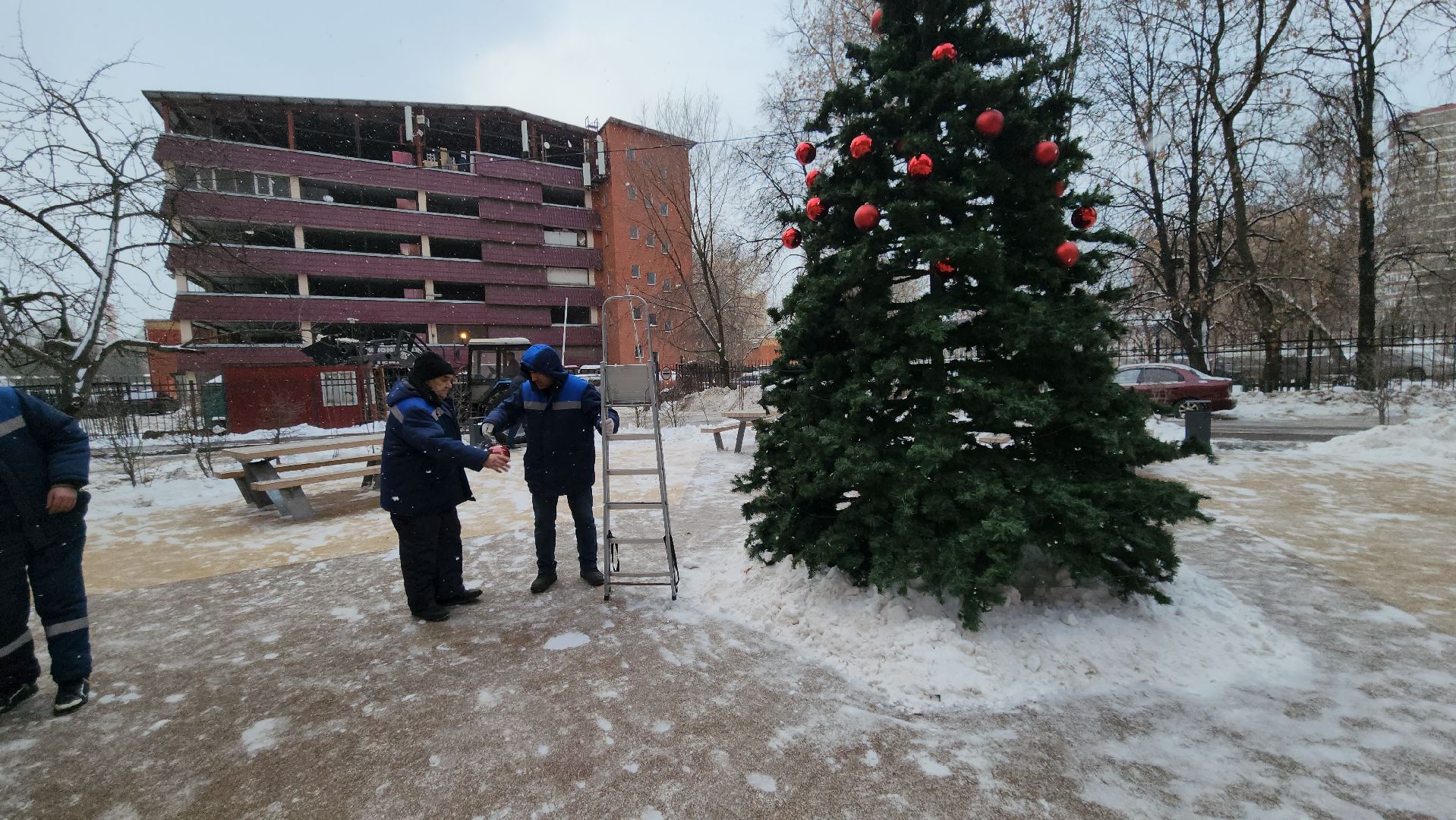 люберцы, установка елок, управляющая компания, жители,
