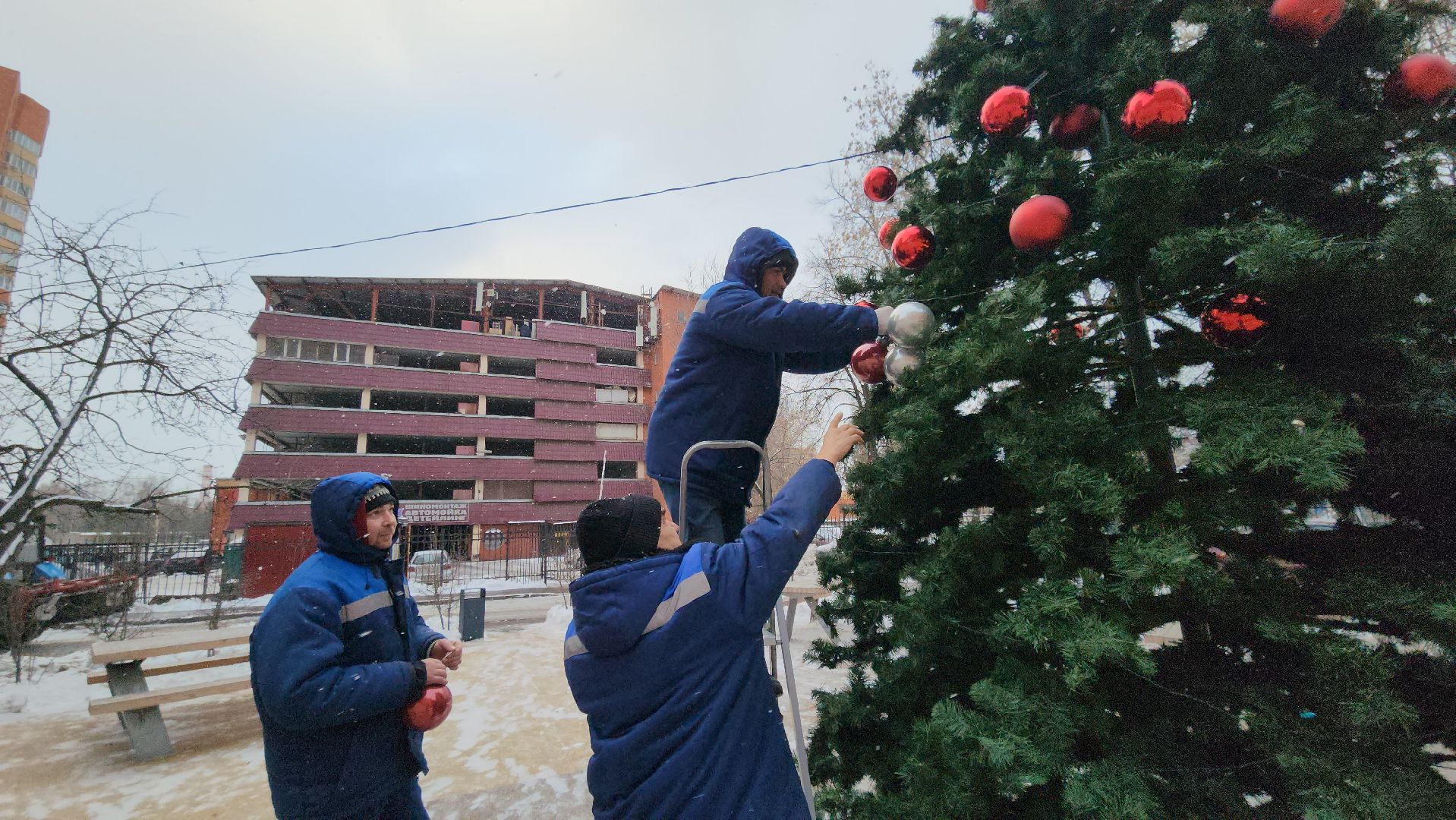 люберцы, установка елок, управляющая компания, жители,