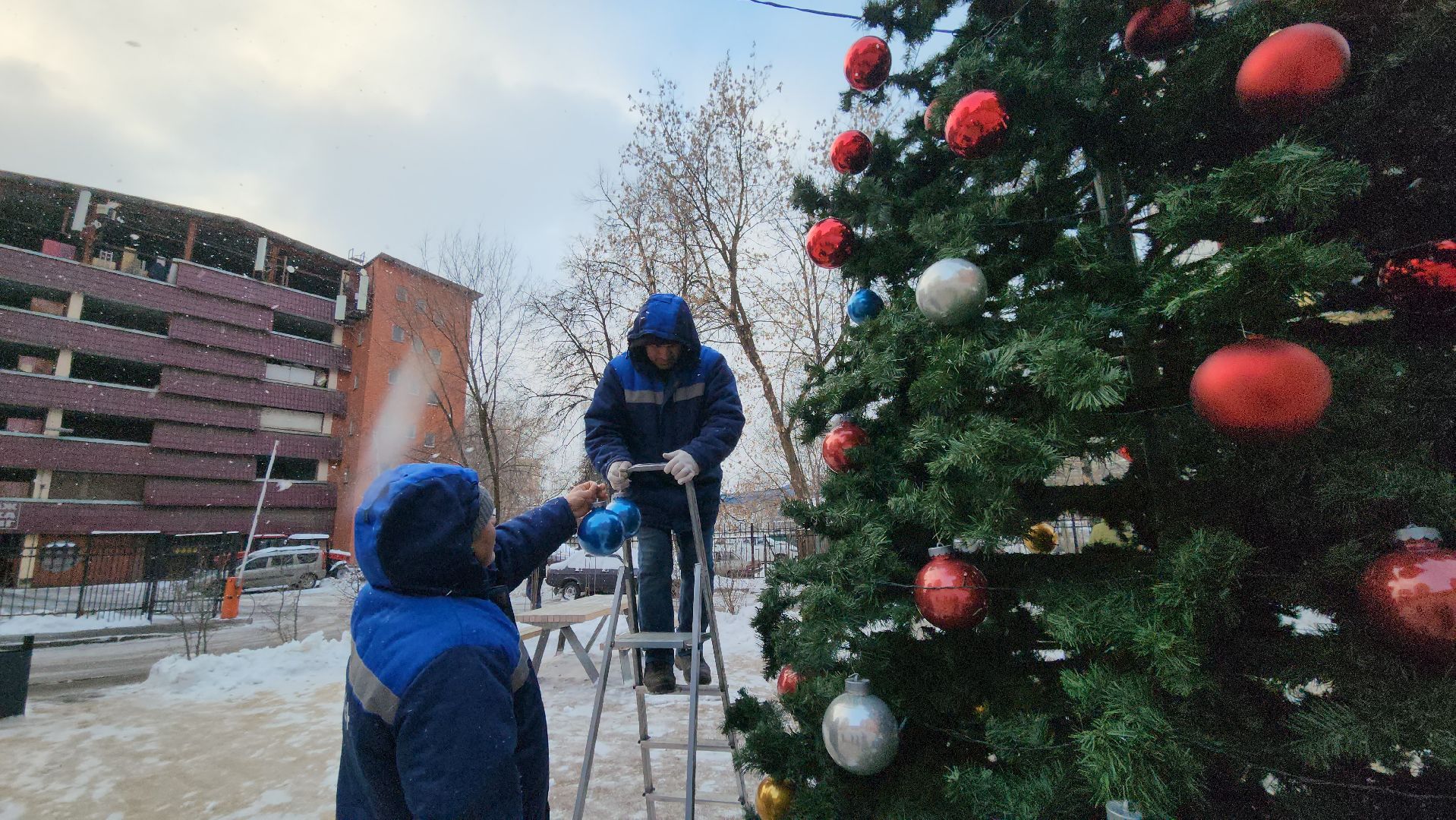 люберцы, установка елок, управляющая компания, жители,