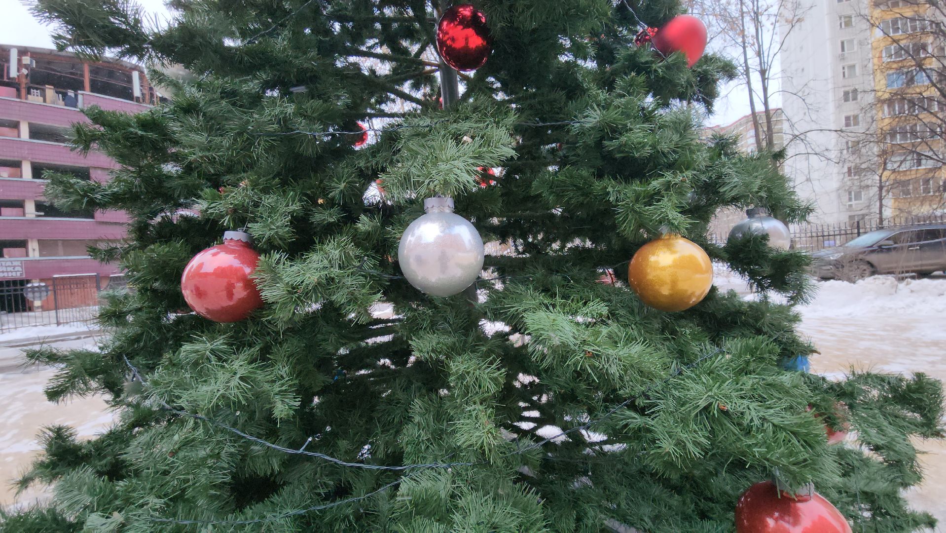 люберцы, установка елок, управляющая компания, жители,