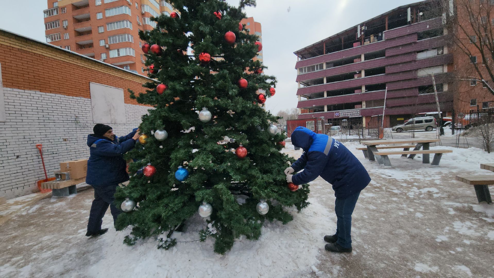 люберцы, установка елок, управляющая компания, жители,