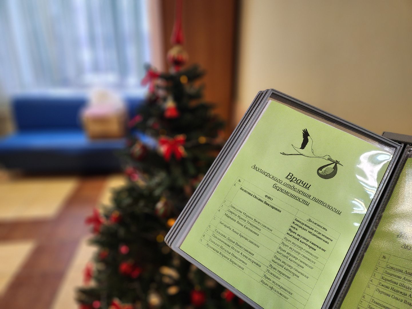 новорожденный, родильный дом, лекция, грудное вскармливание,