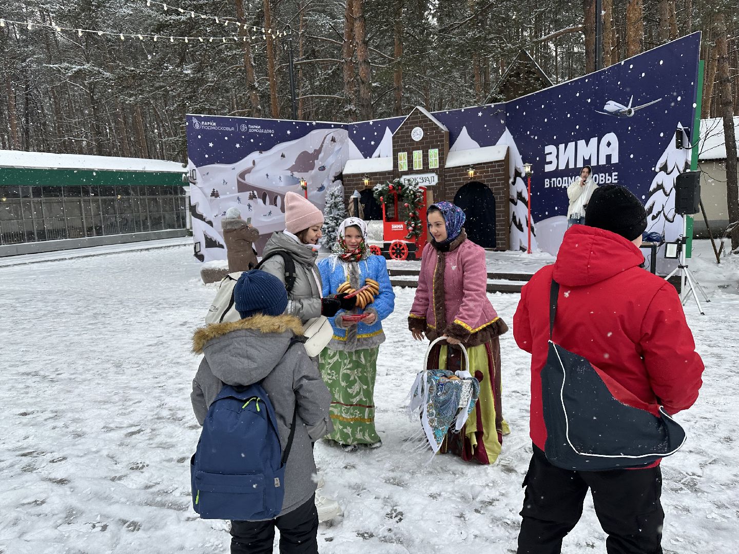 Парки, парки домодедово, парки баранки,