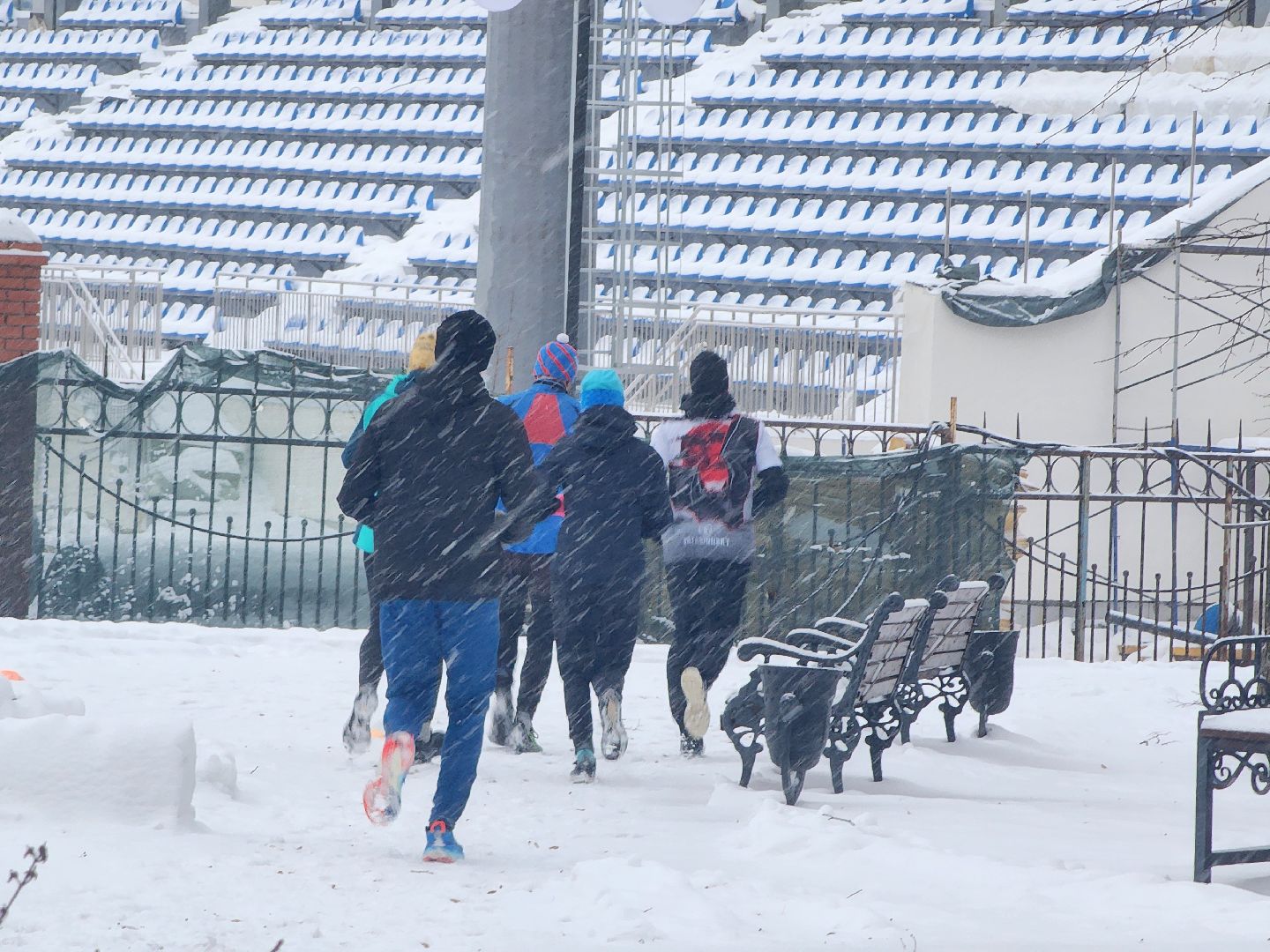 спорт, забег, 5 верст, центральный парк люберцы, вертикалка,