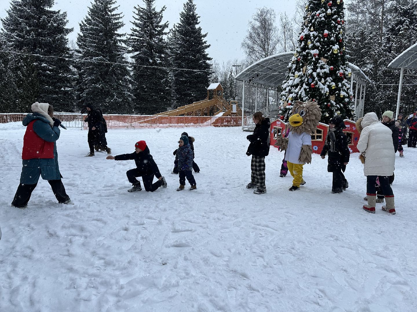 парки, парки баранки, парки домодедово,