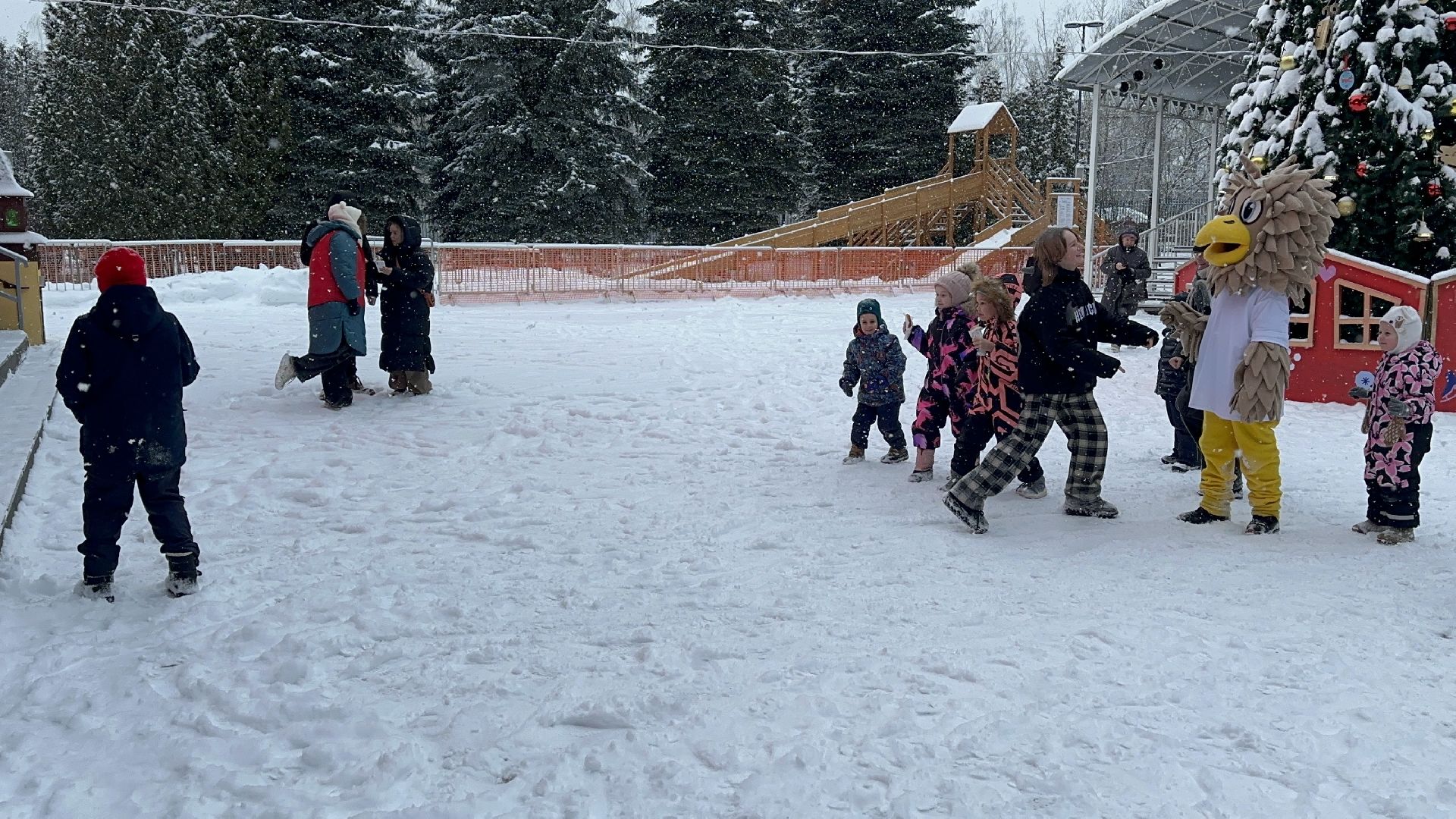парки, парки баранки, парки домодедово,