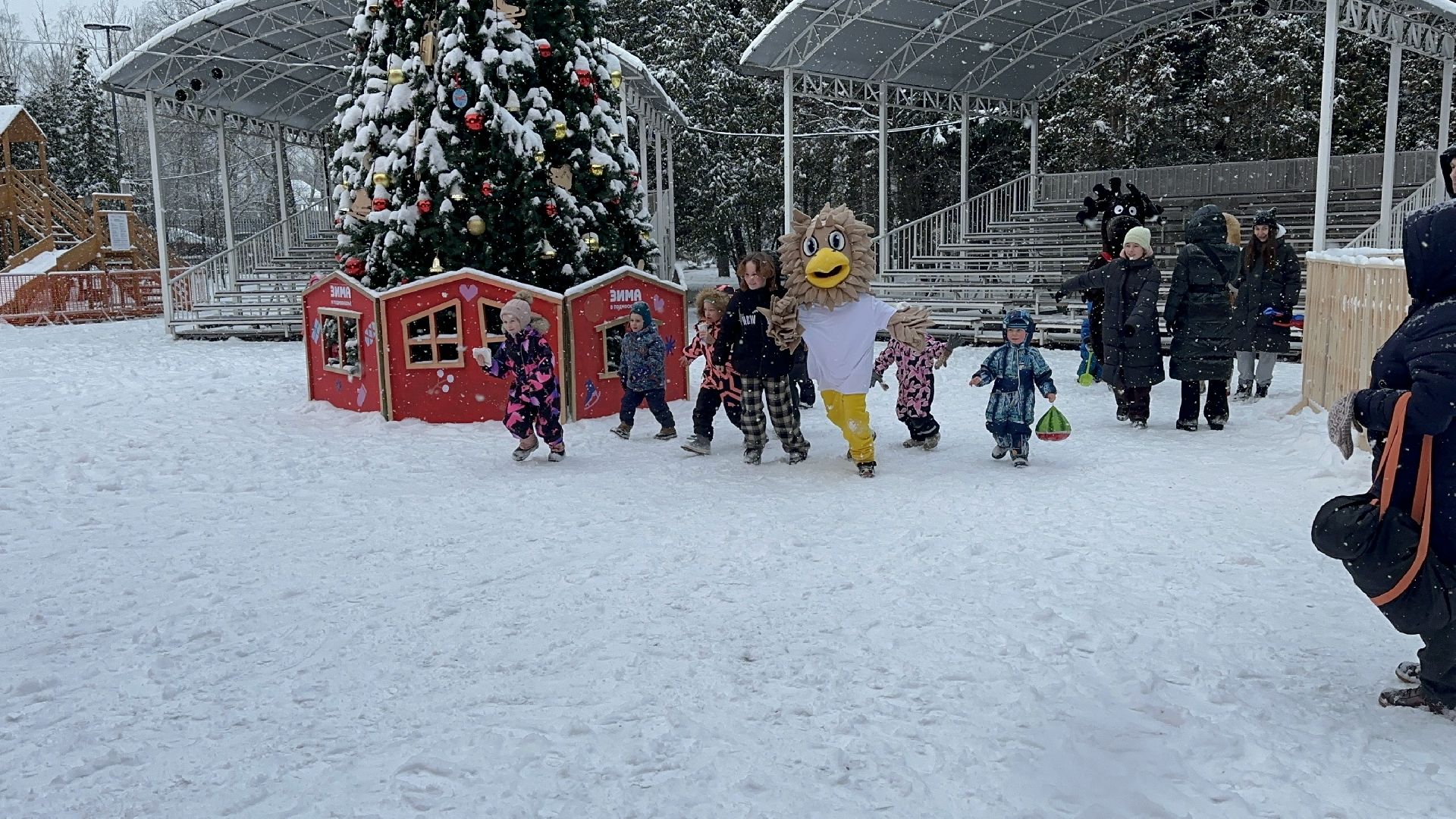 парки, парки баранки, парки домодедово,