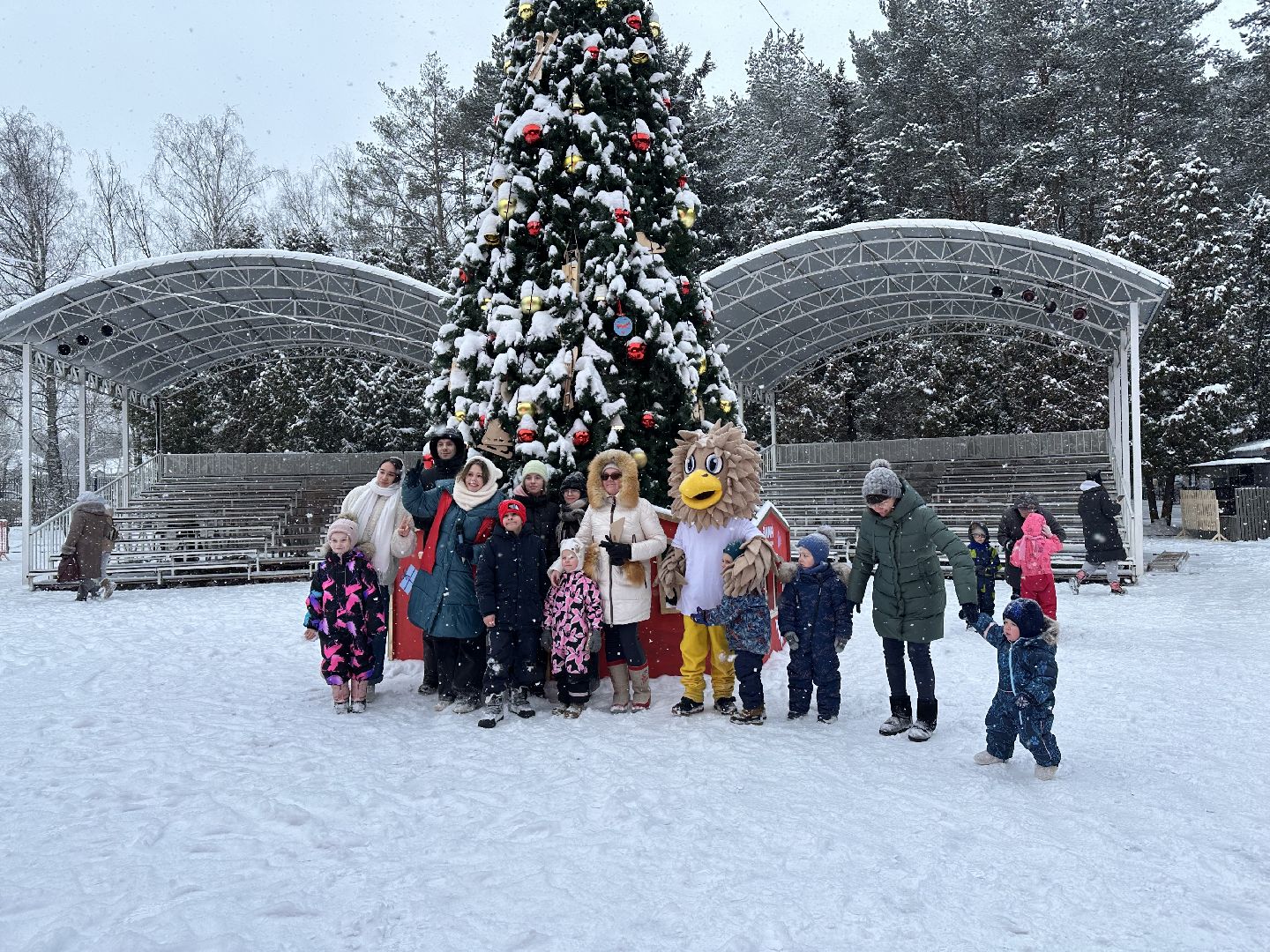 парки, парки баранки, парки домодедово,