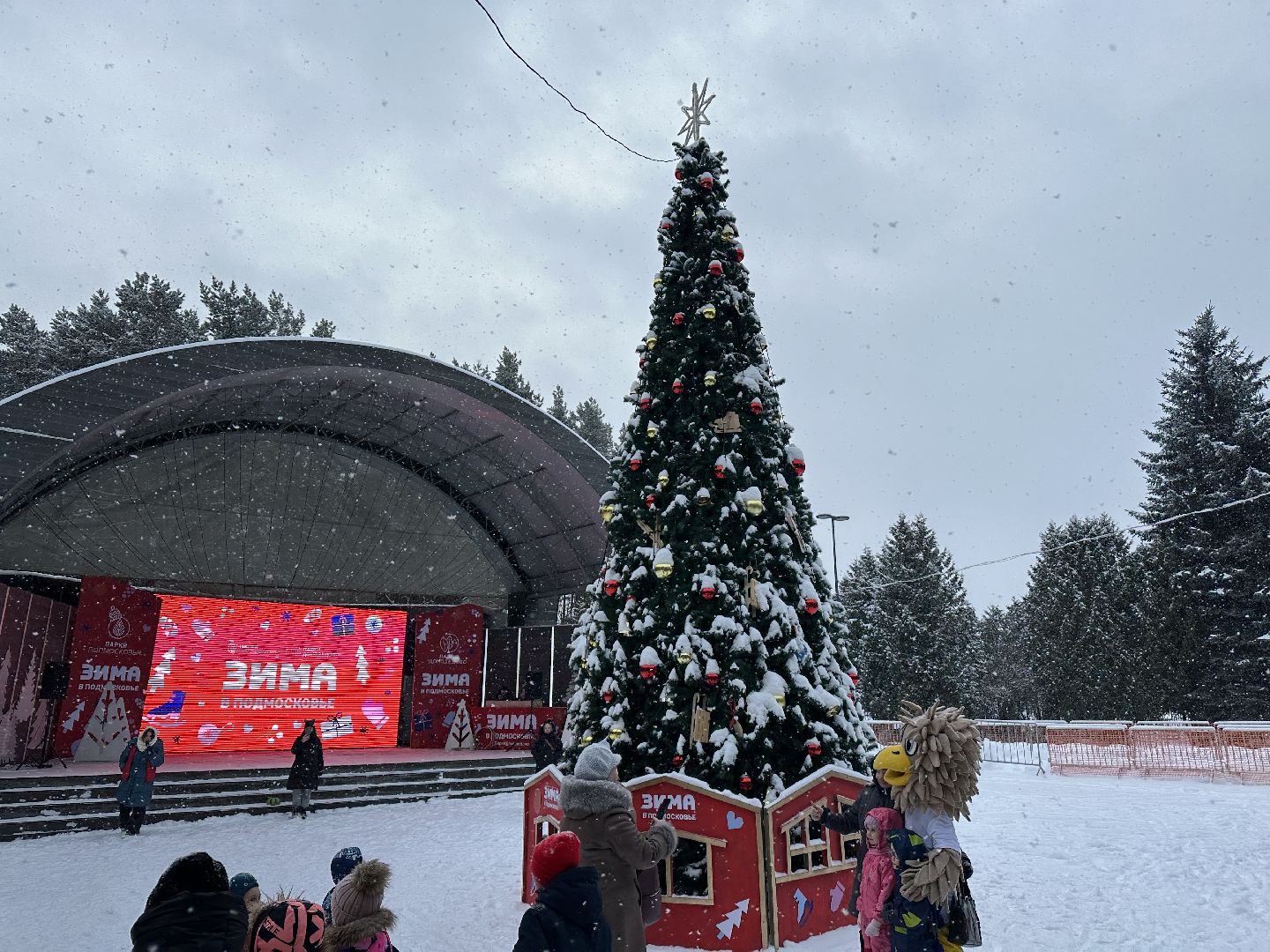 парки, парки баранки, парки домодедово,