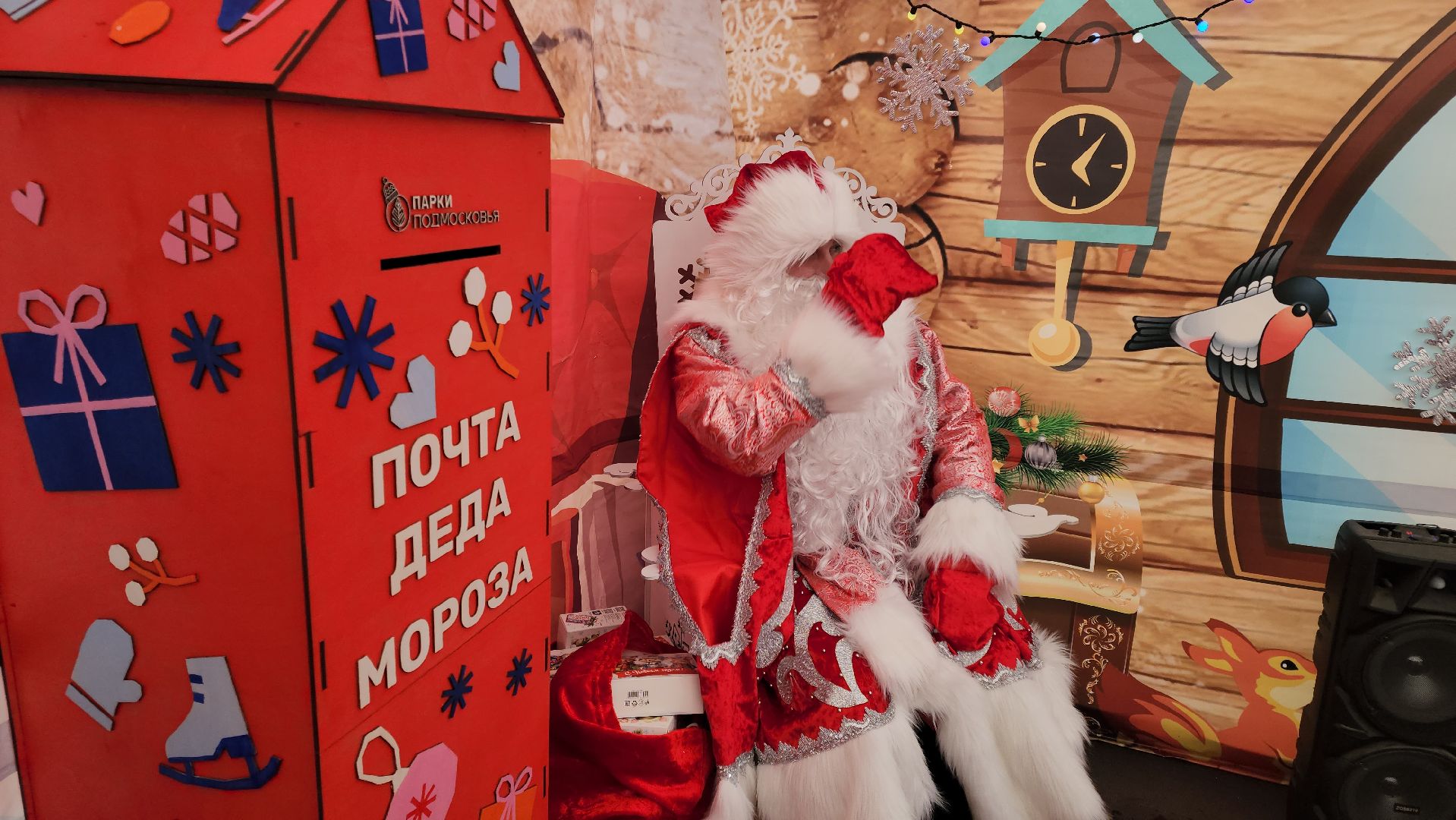 кашира, почта деда мороза, резиденция деда мороза, новый год, вертикалки,