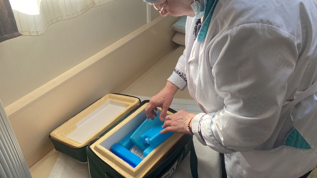 Волоколамск, медицина, ФАП, прививки, COVID-19, грипп, фельдшер