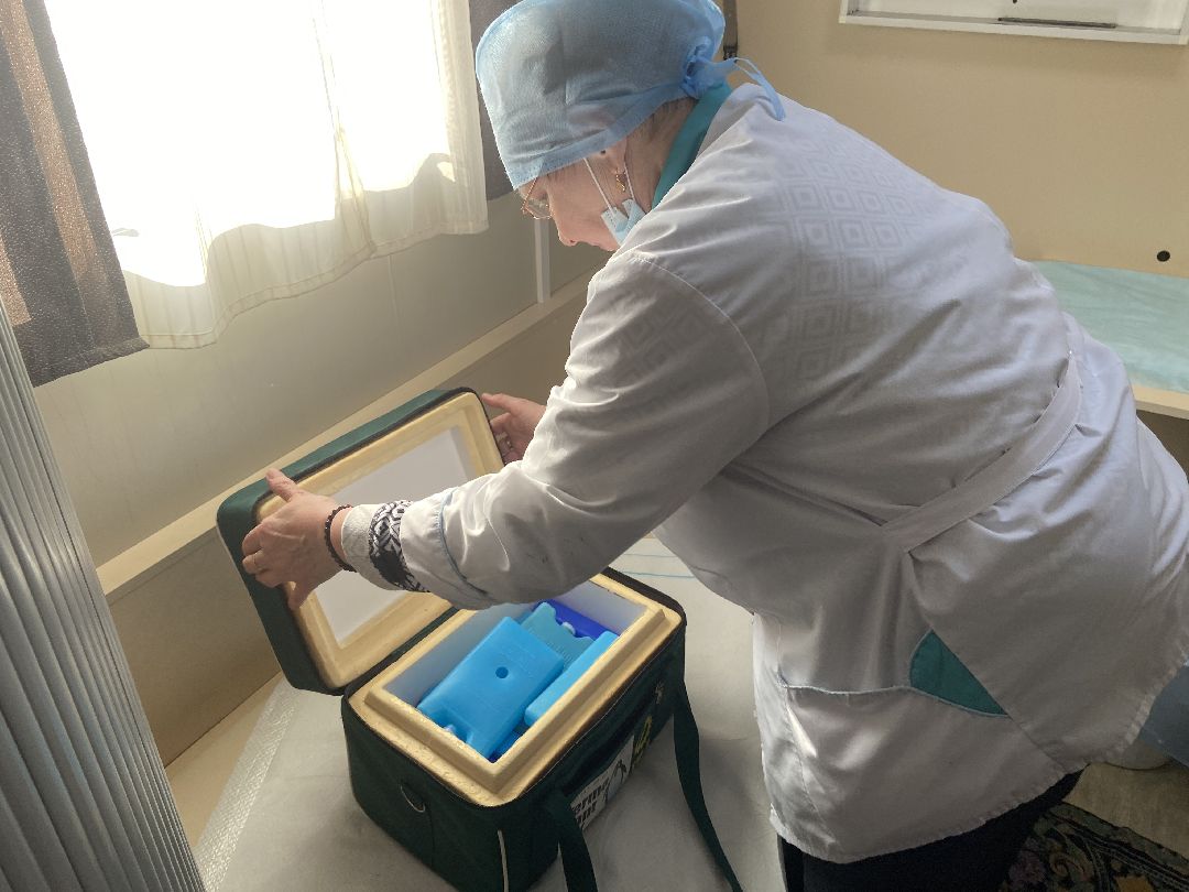 Волоколамск, медицина, ФАП, прививки, COVID-19, грипп, фельдшер