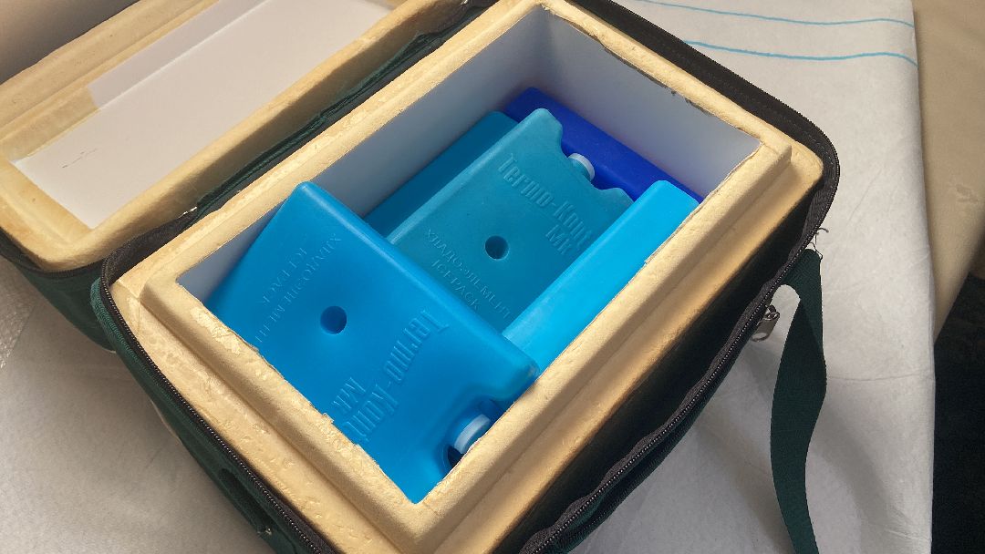 Волоколамск, медицина, ФАП, прививки, COVID-19, грипп, фельдшер