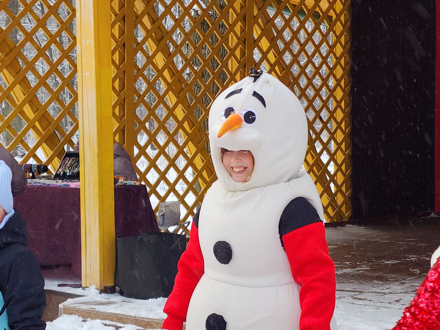 парки, снеговик, новый год, анимация, дети, вертикалки,