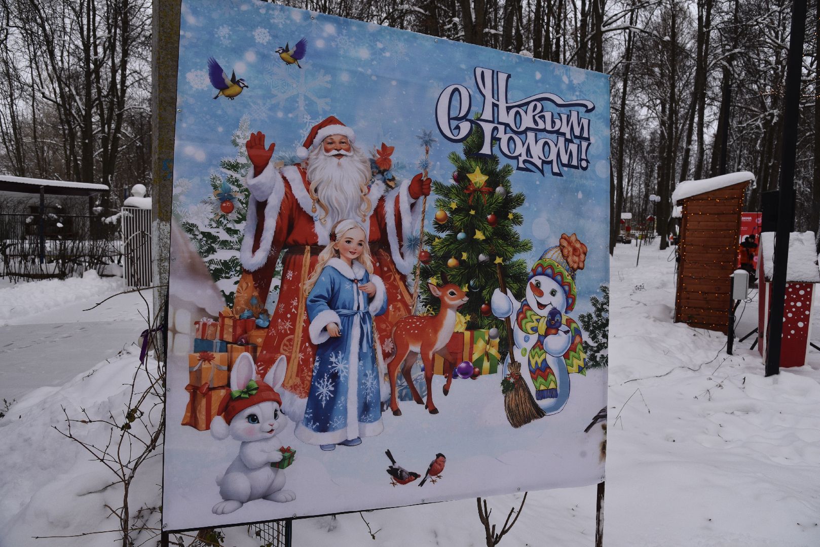 лотошино, лотошинский парк, парки подмосковья, новый год, дети, дед мороз,