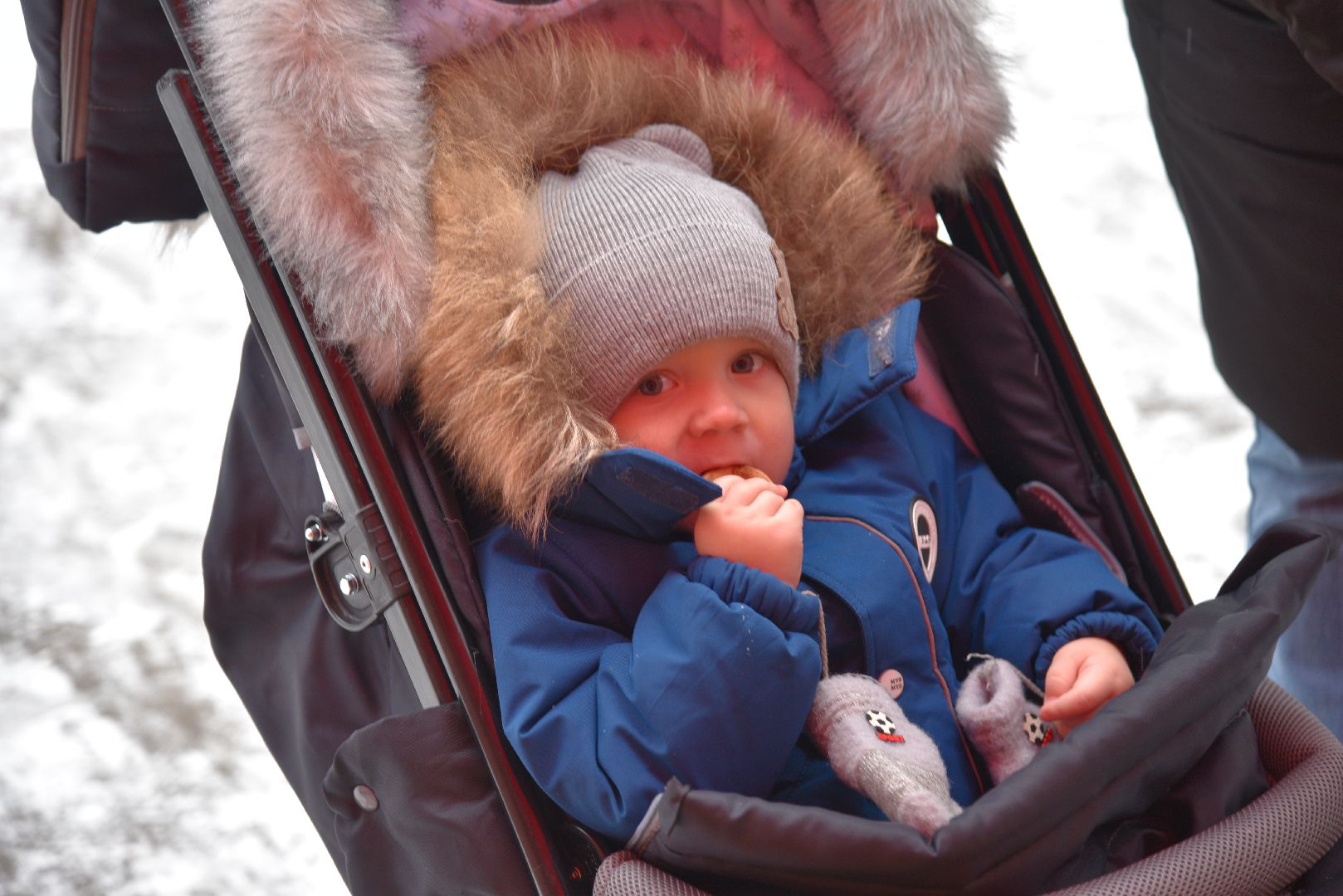 лотошино, лотошинский парк, парки подмосковья, новый год, дети, дед мороз,