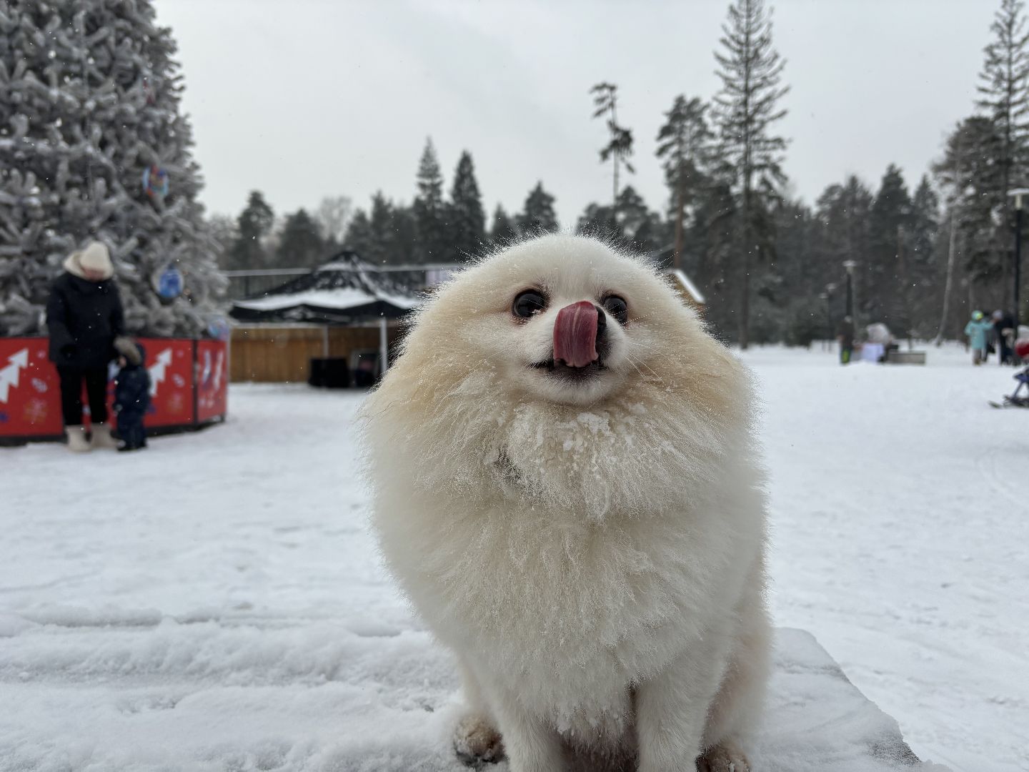 народные песни, народные пляски, парки балашихи,