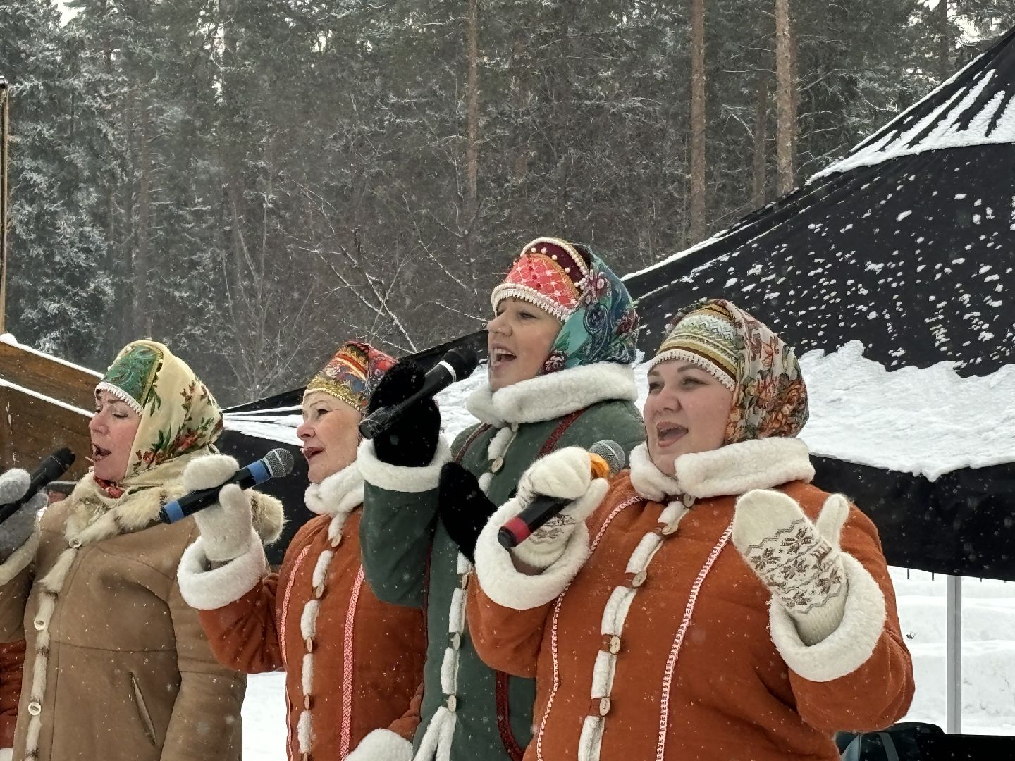 народные песни, народные пляски, парки балашихи,