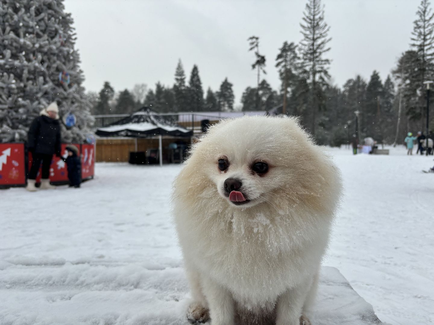 народные песни, народные пляски, парки балашихи,