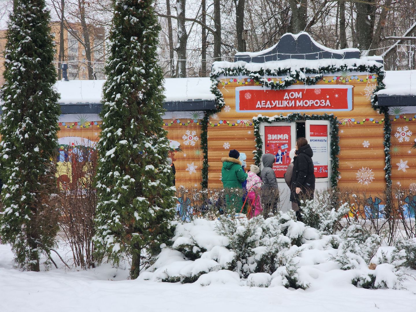 подольск, парк талалихина, зима в подмосковье, мастер-класс,