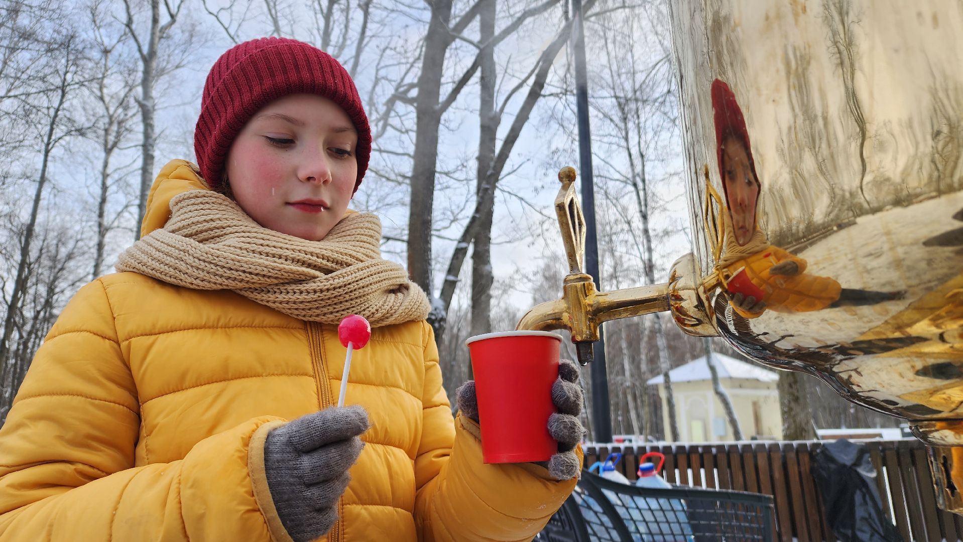 ступино, парки баранки, зима в Подмосковье,