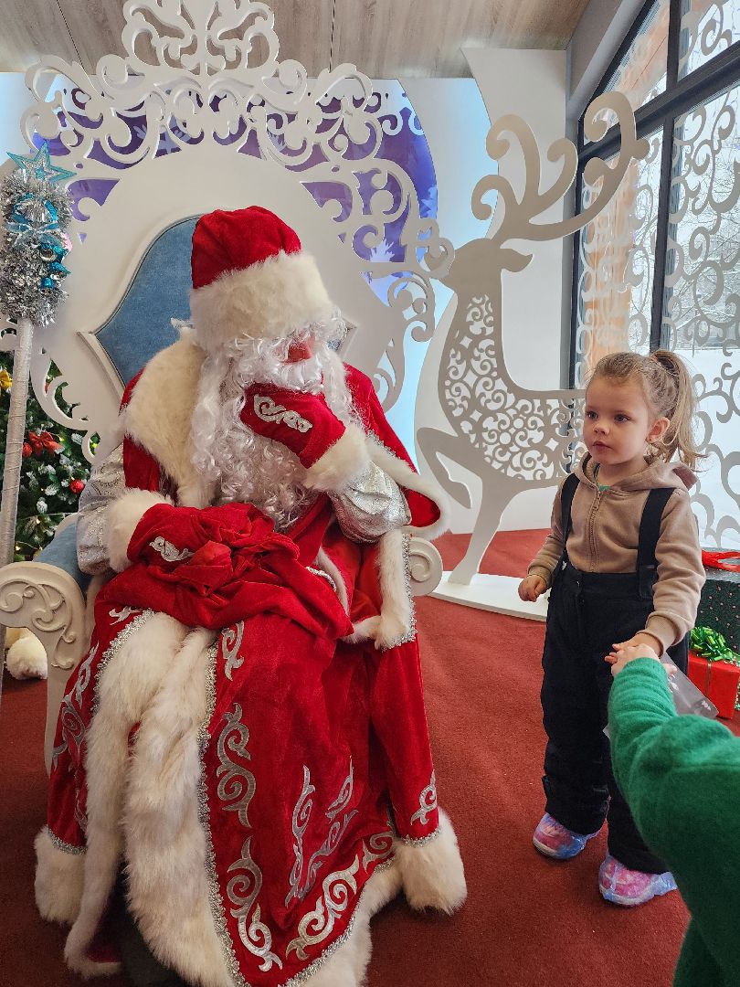 фрязино, резиденция деда мороза, почта деда мороза, лесопарк, письмо деду морозу, вертикалки,