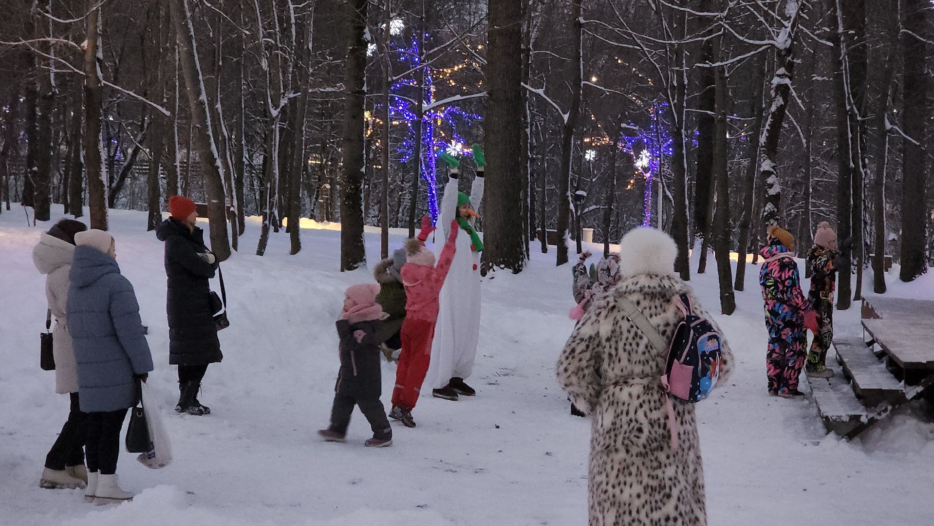 зима в подмосковье, Парк, вертикалки,