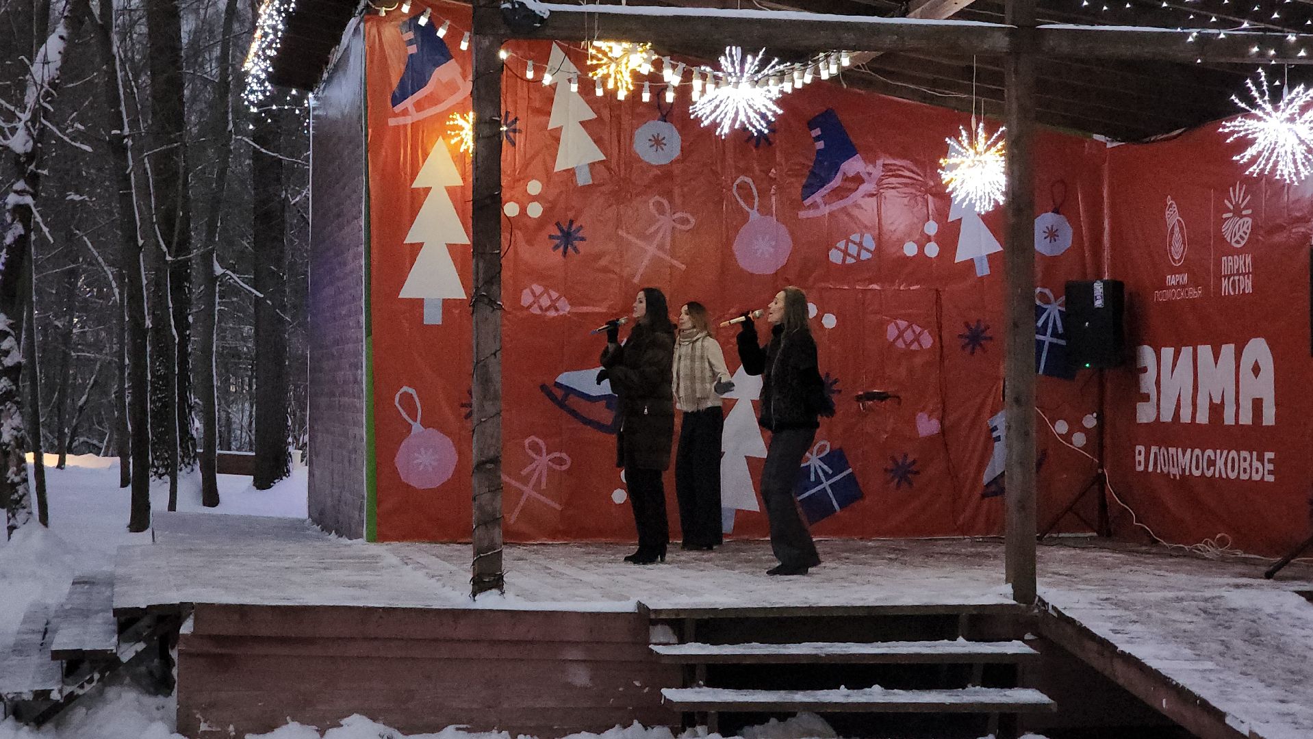 зима в подмосковье, Парк, вертикалки,