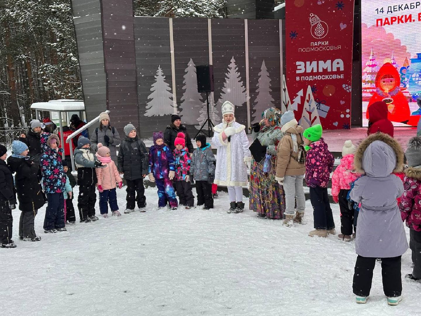 парки, парки домодедово, новый год,