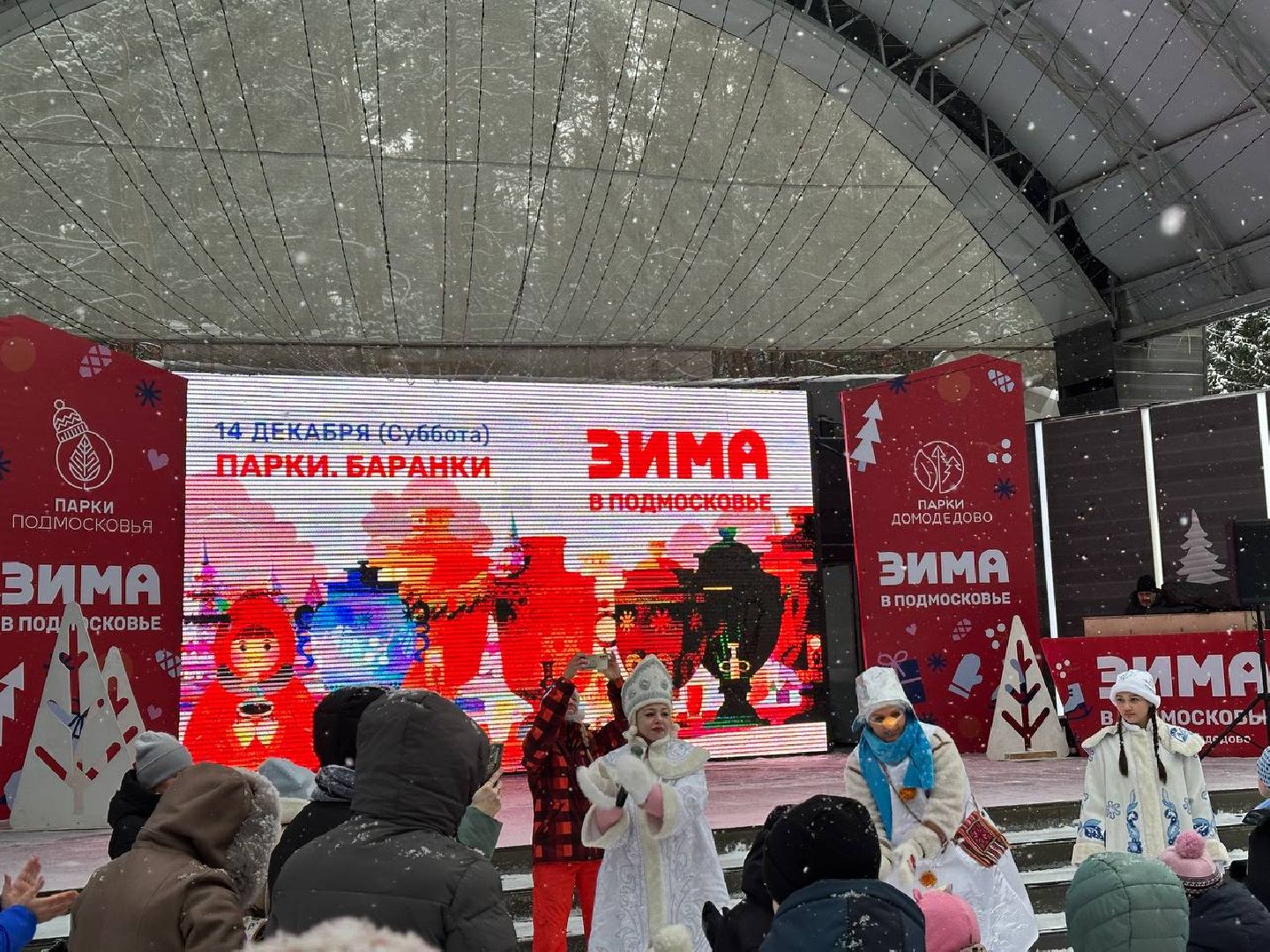 парки, парки домодедово, новый год,