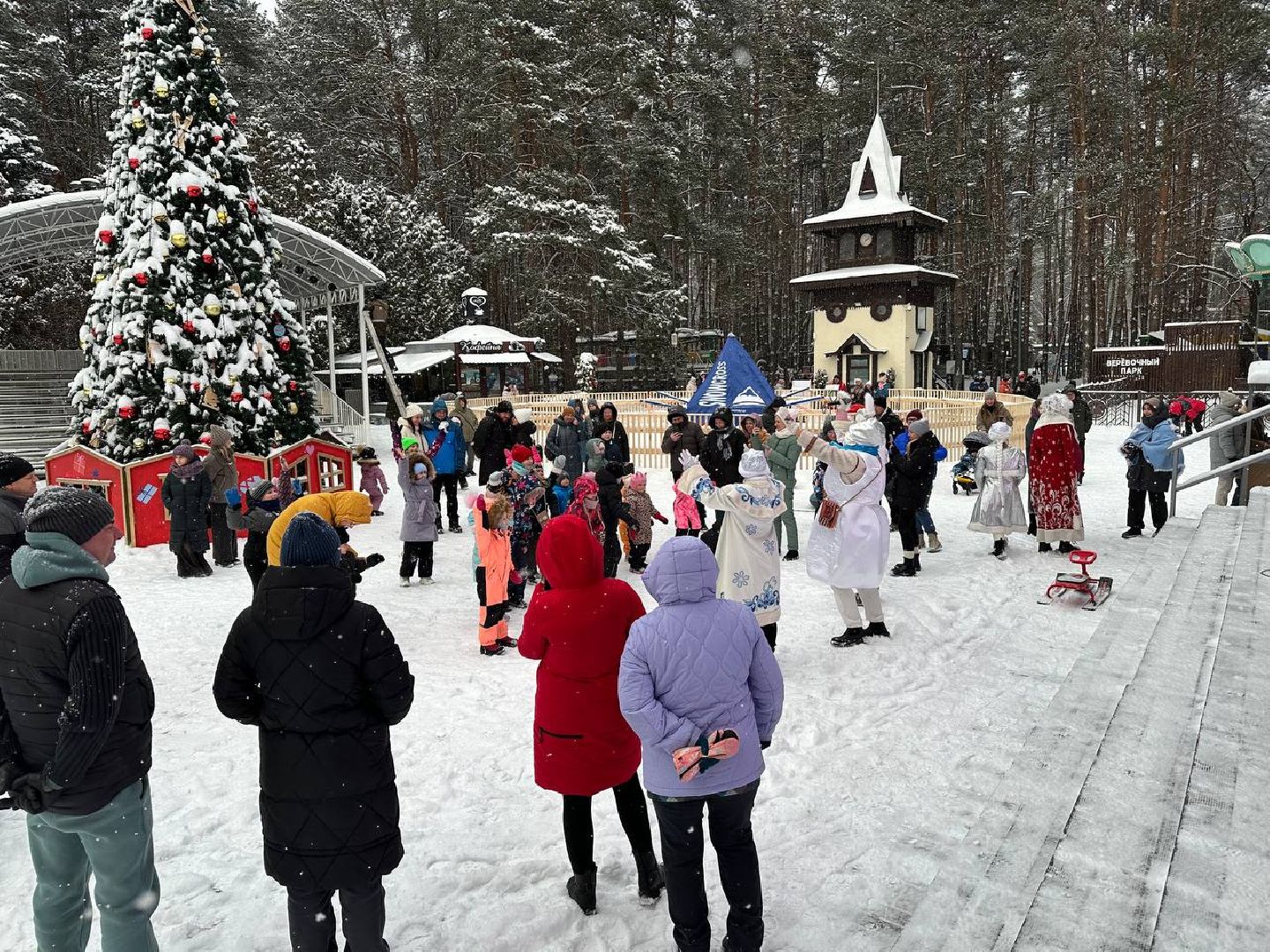 парки, парки домодедово, новый год,