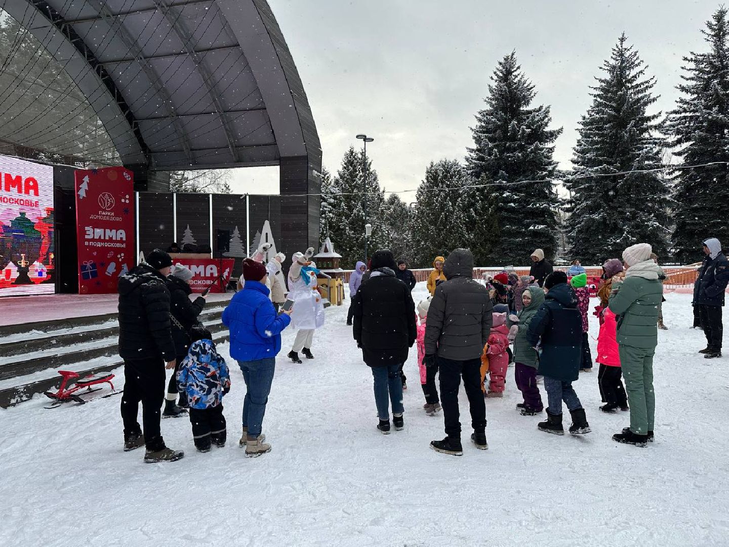 парки, парки домодедово, новый год,
