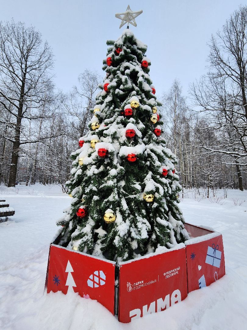 фрязино, лесопарк, зимние забавы, зима в парках, лыжи, кормушки, вертикалки,