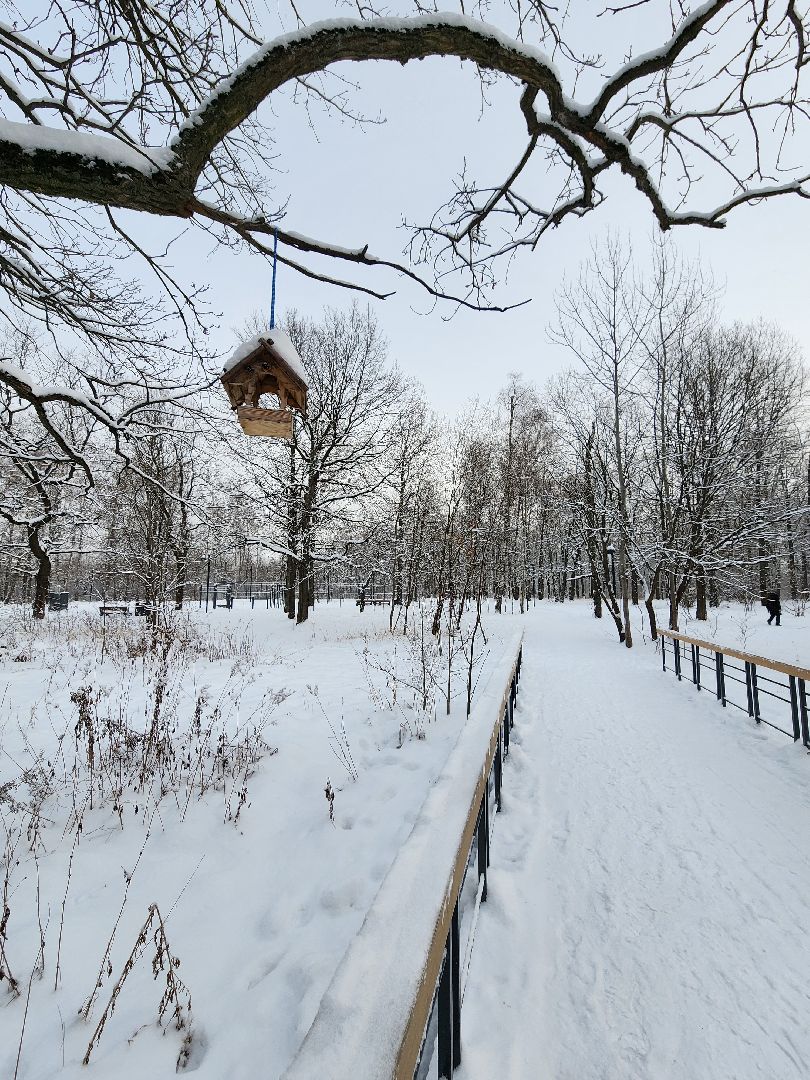 фрязино, лесопарк, зимние забавы, зима в парках, лыжи, кормушки, вертикалки,