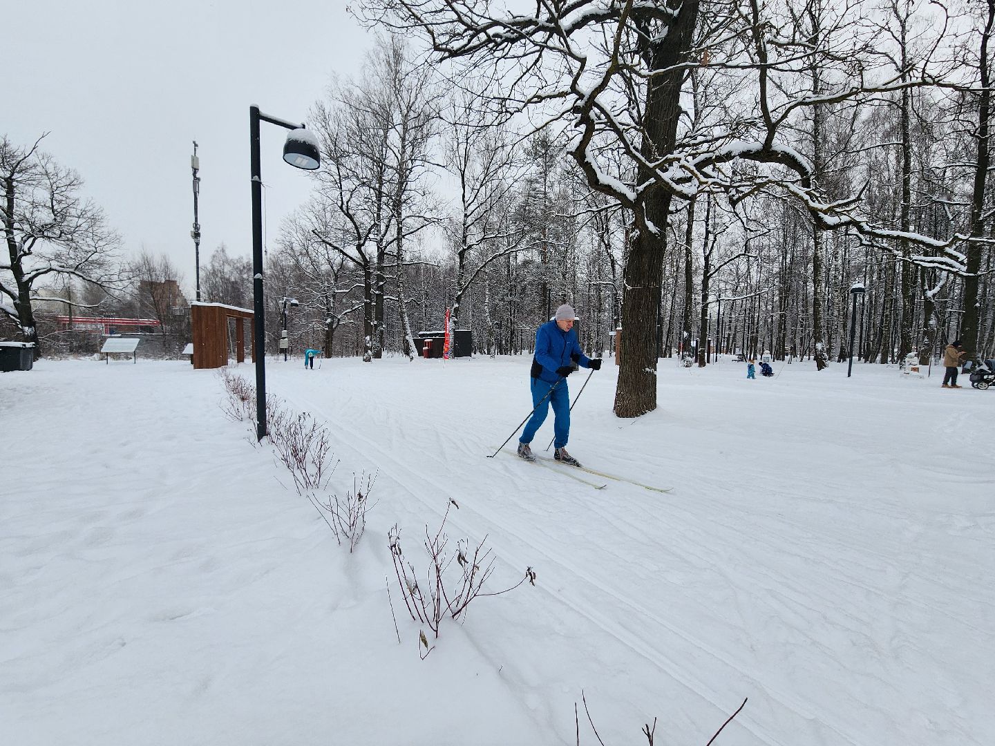 фрязино, лесопарк, зимние забавы, зима в парках, лыжи, кормушки, вертикалки,