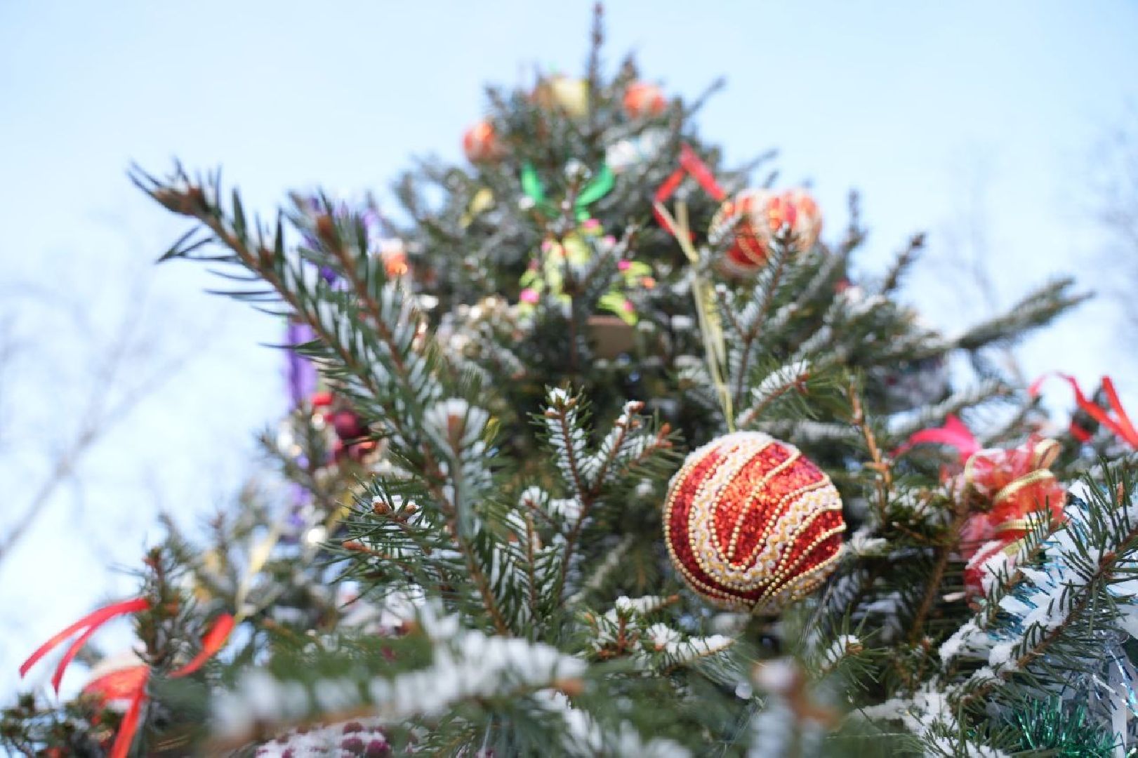 Зима в Подмосковье, Новый год, Зажжение огней на елке, Сергиев Посад, Сергиево-Посадский городской округ, вертикалки,