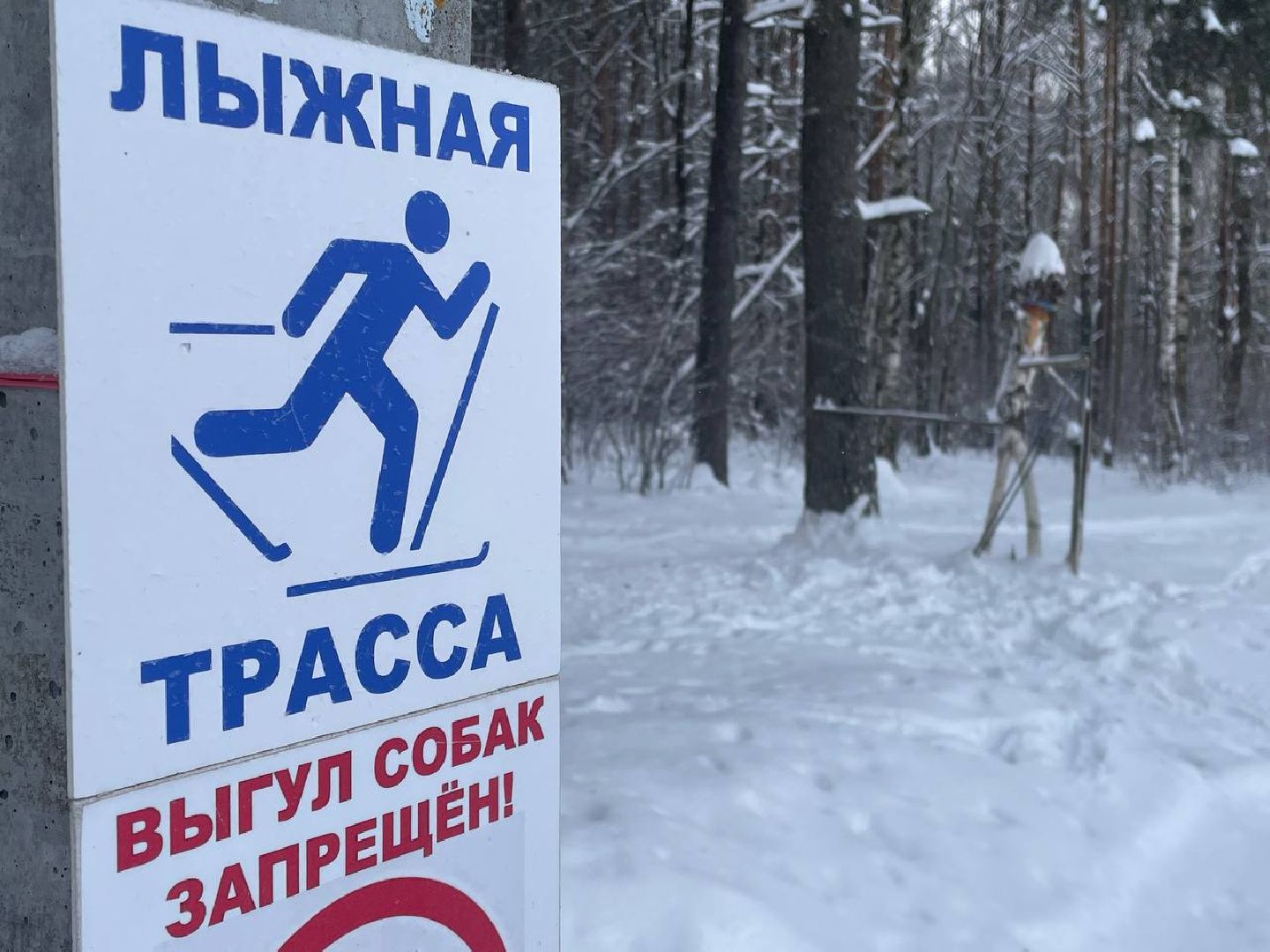 дмитров, цзвс, минспорта, вертикалки,