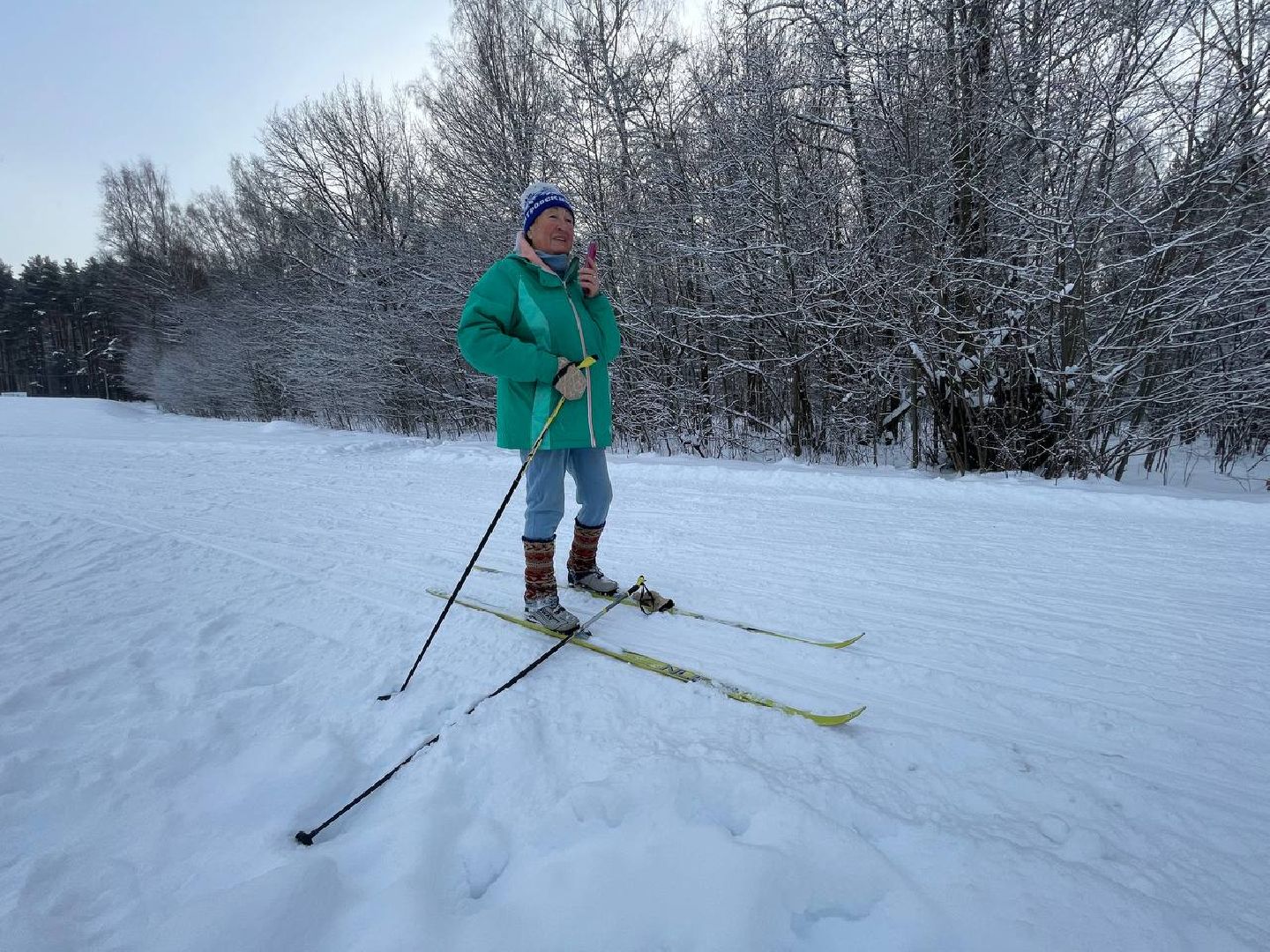 дмитров, цзвс, минспорта, вертикалки,