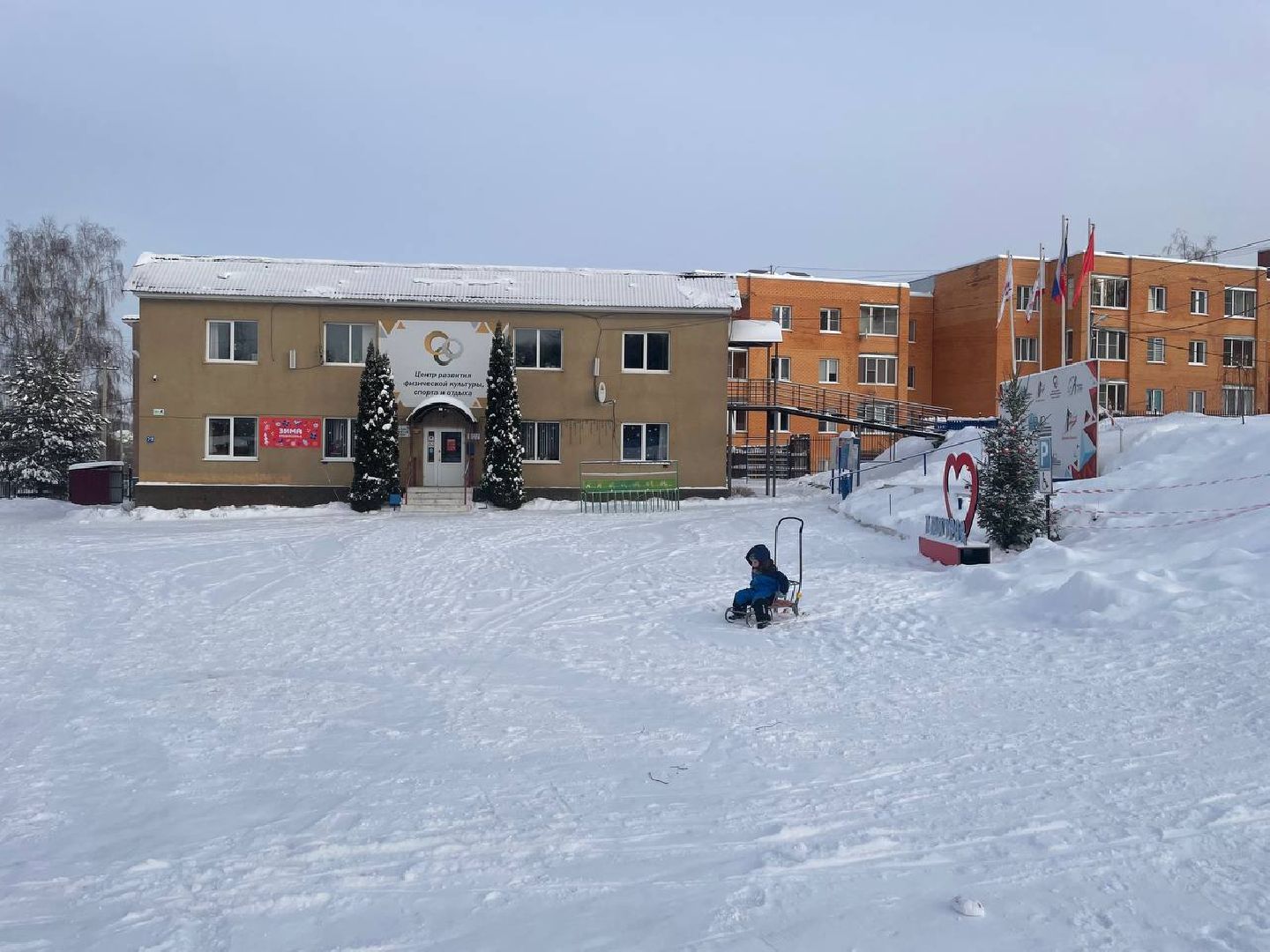 дмитров, цзвс, минспорта, вертикалки,